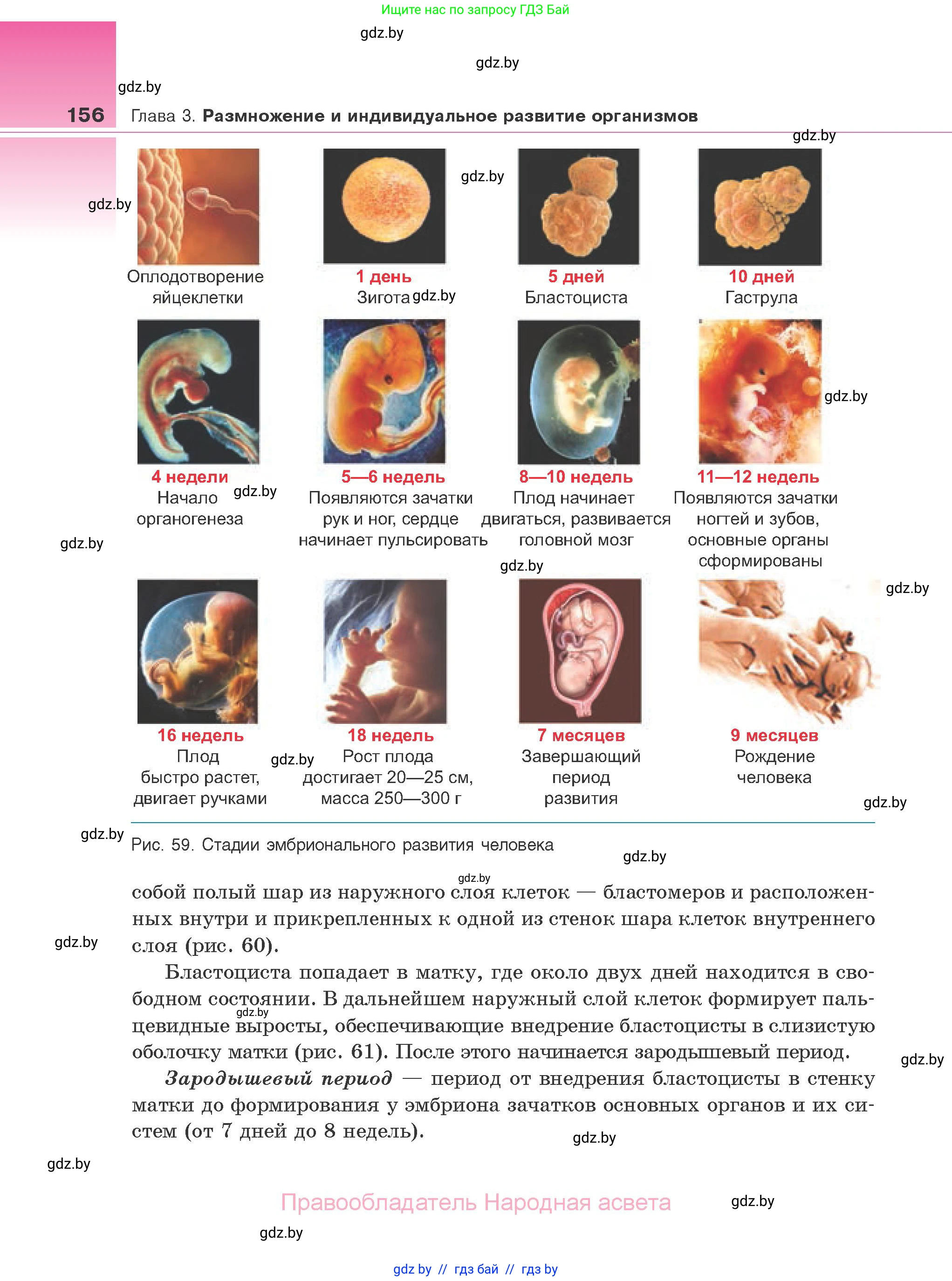 Биология, 10 класс Учебник, авторы: Маглыш Сабина Степановна, Кравченко Вячеслав Анатольевич, Довгун Татьяна Яновна, издательство Народная асвета, Минск, 2020, зелёного цвета, страница 156
