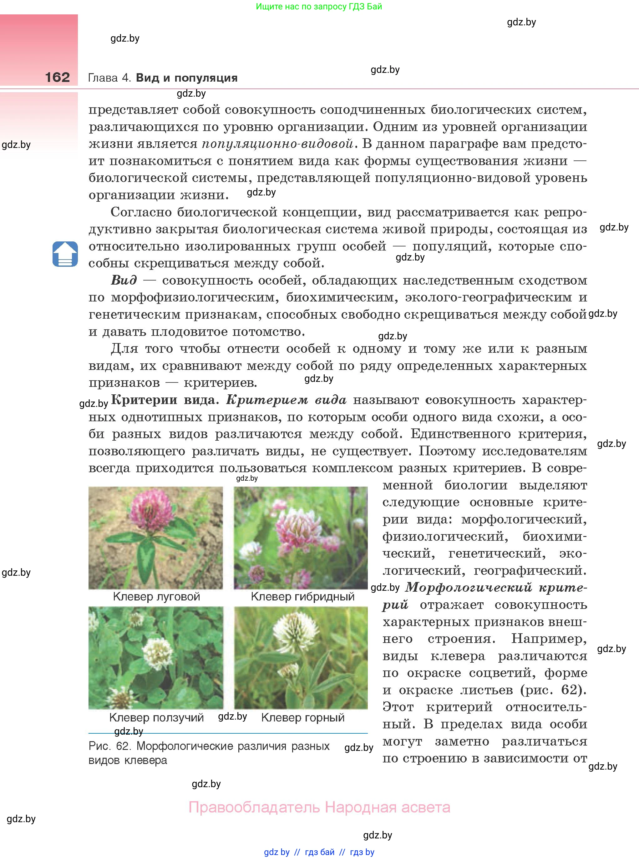 Биология, 10 класс Учебник, авторы: Маглыш Сабина Степановна, Кравченко Вячеслав Анатольевич, Довгун Татьяна Яновна, издательство Народная асвета, Минск, 2020, зелёного цвета, страница 162