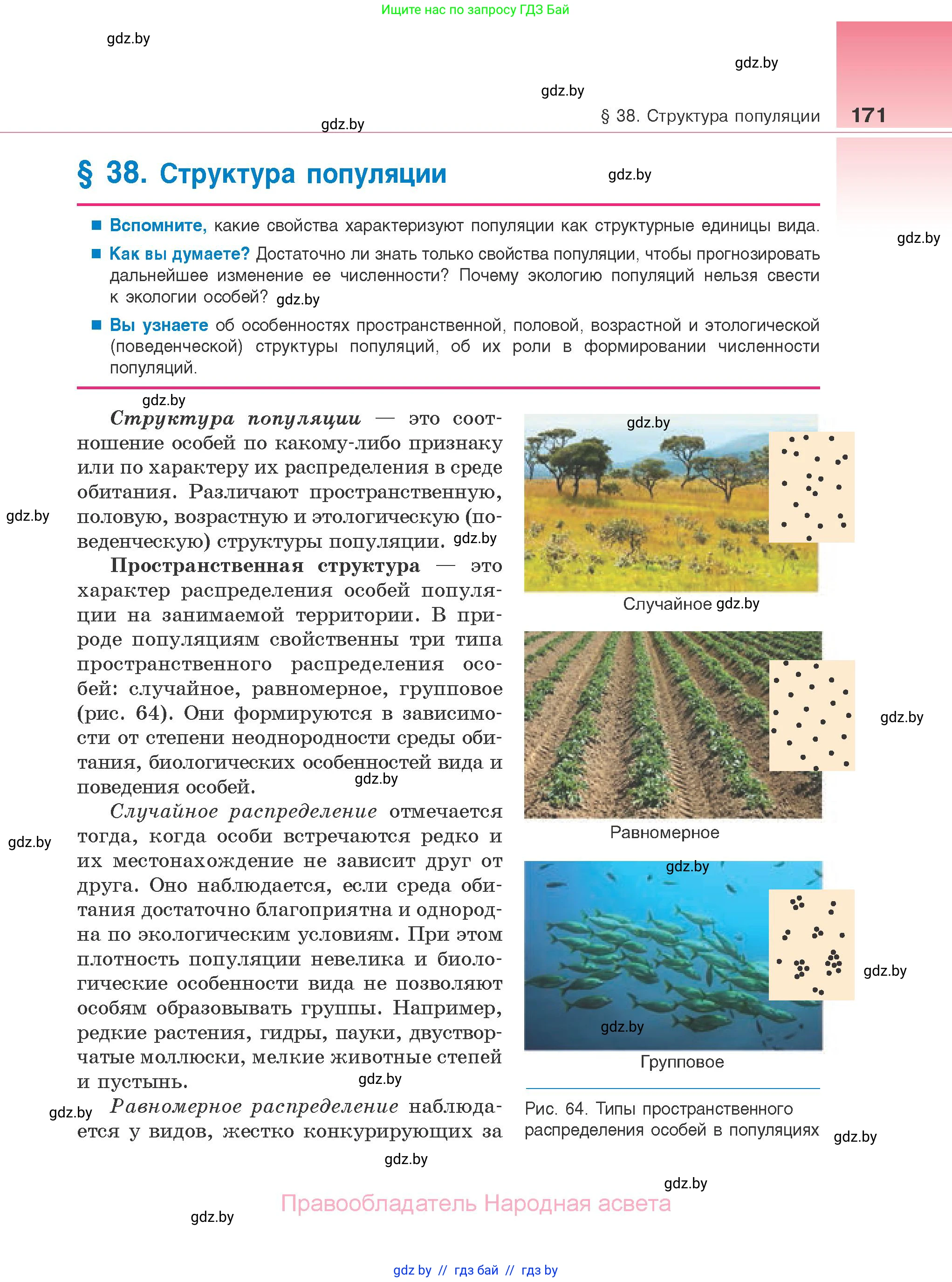 Биология, 10 класс Учебник, авторы: Маглыш Сабина Степановна, Кравченко Вячеслав Анатольевич, Довгун Татьяна Яновна, издательство Народная асвета, Минск, 2020, зелёного цвета, страница 171
