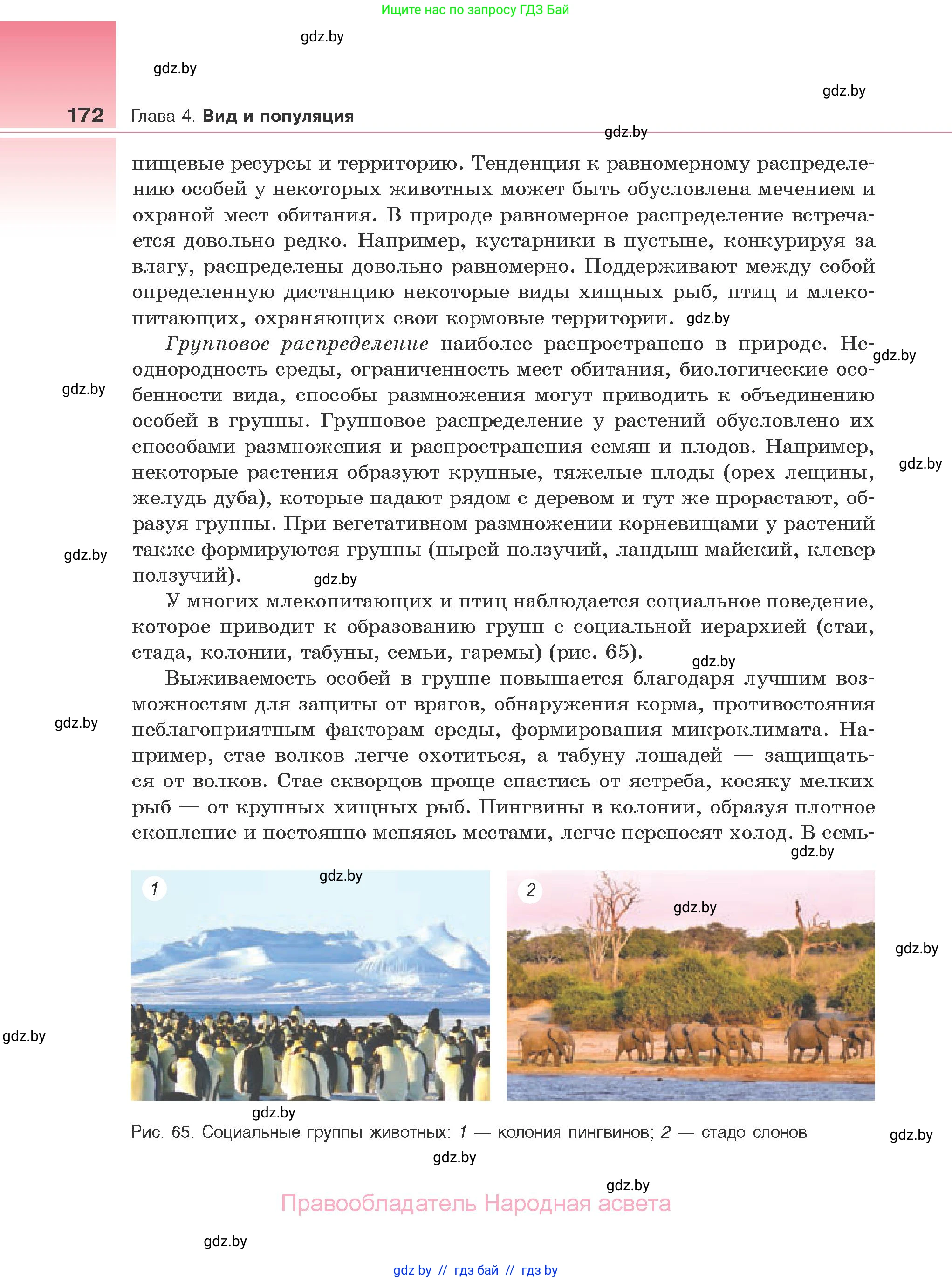 Биология, 10 класс Учебник, авторы: Маглыш Сабина Степановна, Кравченко Вячеслав Анатольевич, Довгун Татьяна Яновна, издательство Народная асвета, Минск, 2020, зелёного цвета, страница 172