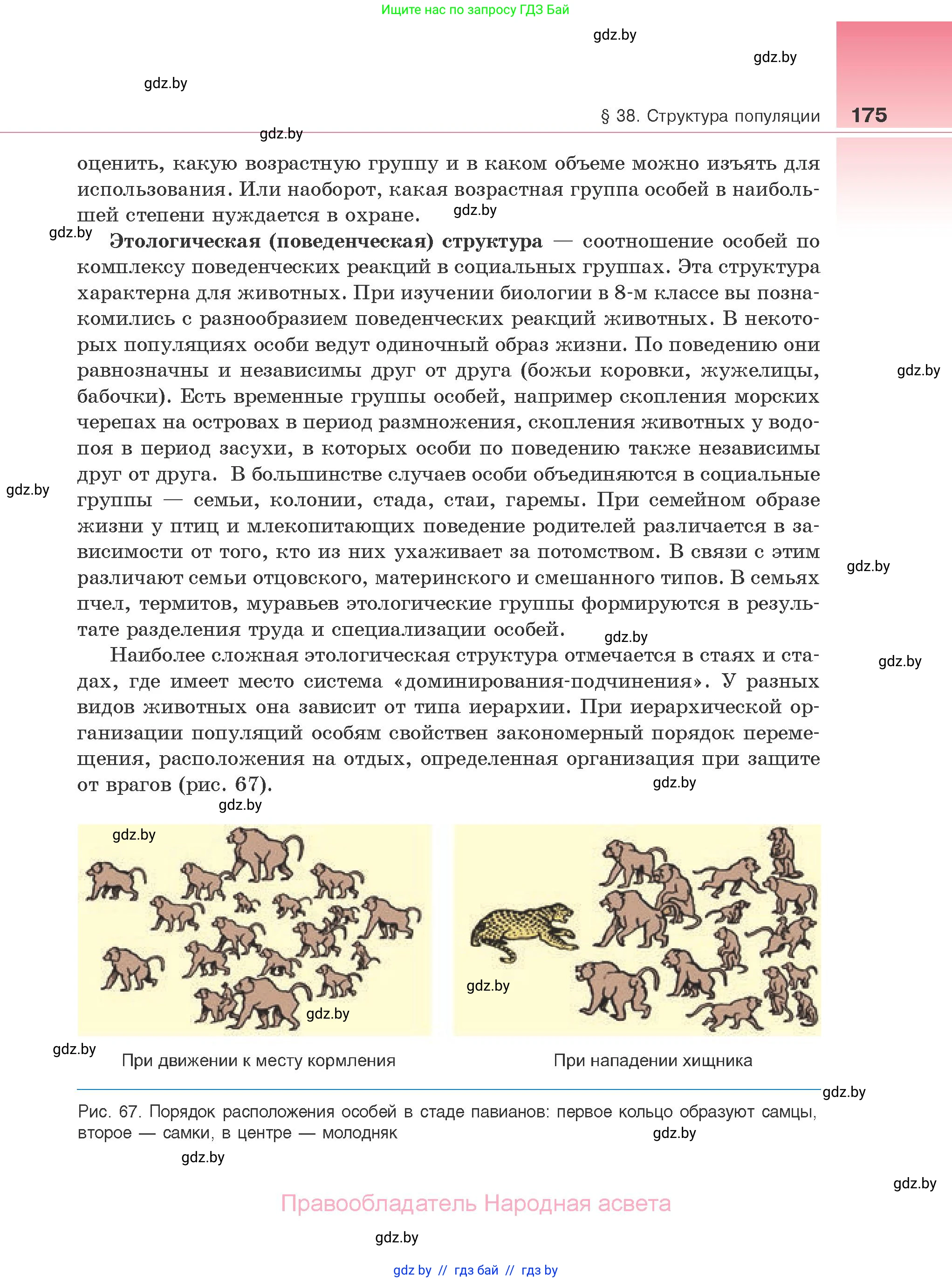 Биология, 10 класс Учебник, авторы: Маглыш Сабина Степановна, Кравченко Вячеслав Анатольевич, Довгун Татьяна Яновна, издательство Народная асвета, Минск, 2020, зелёного цвета, страница 175