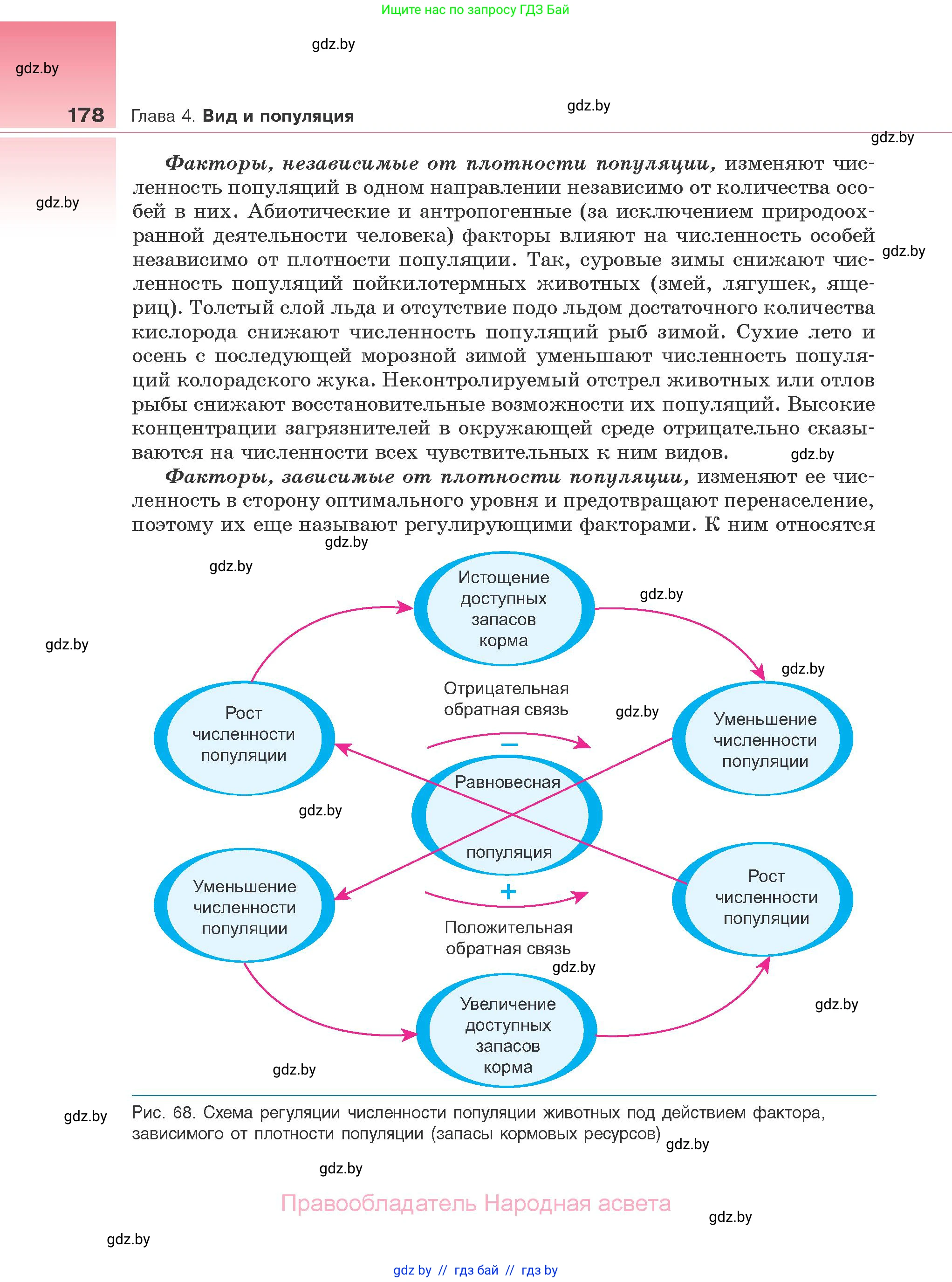 Биология, 10 класс Учебник, авторы: Маглыш Сабина Степановна, Кравченко Вячеслав Анатольевич, Довгун Татьяна Яновна, издательство Народная асвета, Минск, 2020, зелёного цвета, страница 178