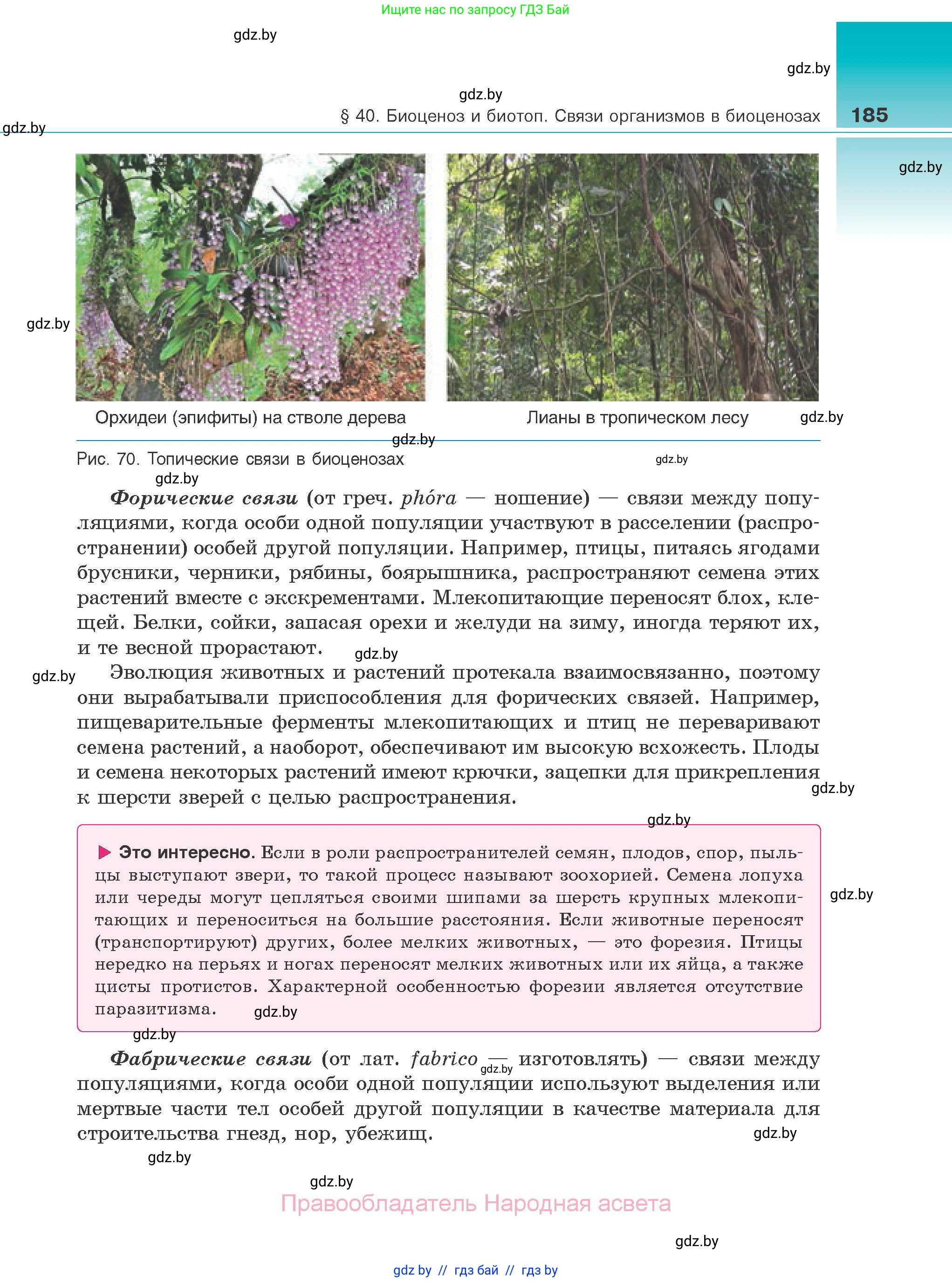 Биология, 10 класс Учебник, авторы: Маглыш Сабина Степановна, Кравченко Вячеслав Анатольевич, Довгун Татьяна Яновна, издательство Народная асвета, Минск, 2020, зелёного цвета, страница 185