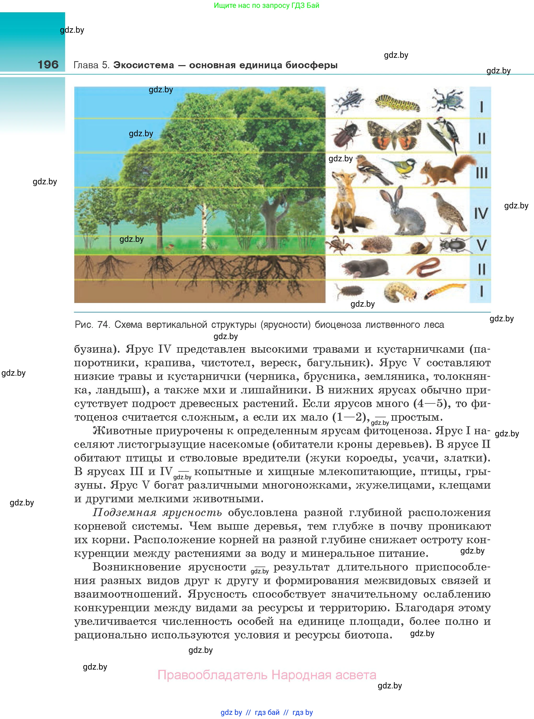 Биология, 10 класс Учебник, авторы: Маглыш Сабина Степановна, Кравченко Вячеслав Анатольевич, Довгун Татьяна Яновна, издательство Народная асвета, Минск, 2020, зелёного цвета, страница 196