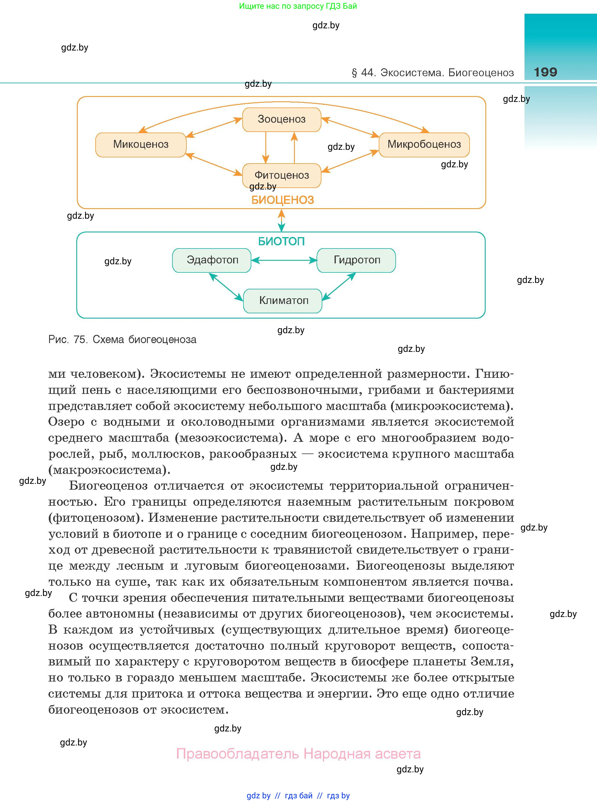 Биология, 10 класс Учебник, авторы: Маглыш Сабина Степановна, Кравченко Вячеслав Анатольевич, Довгун Татьяна Яновна, издательство Народная асвета, Минск, 2020, зелёного цвета, страница 199