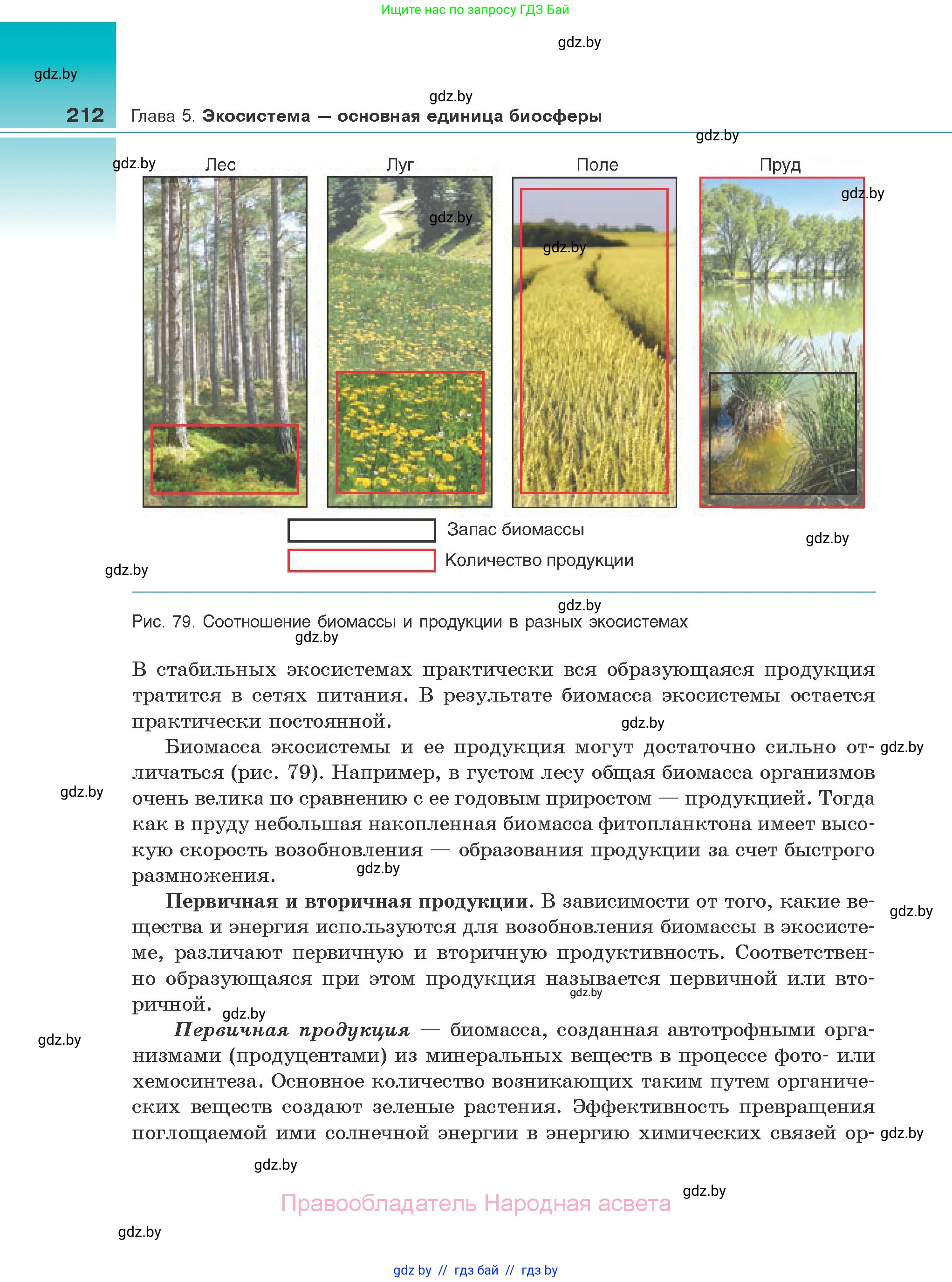 Биология, 10 класс Учебник, авторы: Маглыш Сабина Степановна, Кравченко Вячеслав Анатольевич, Довгун Татьяна Яновна, издательство Народная асвета, Минск, 2020, зелёного цвета, страница 212