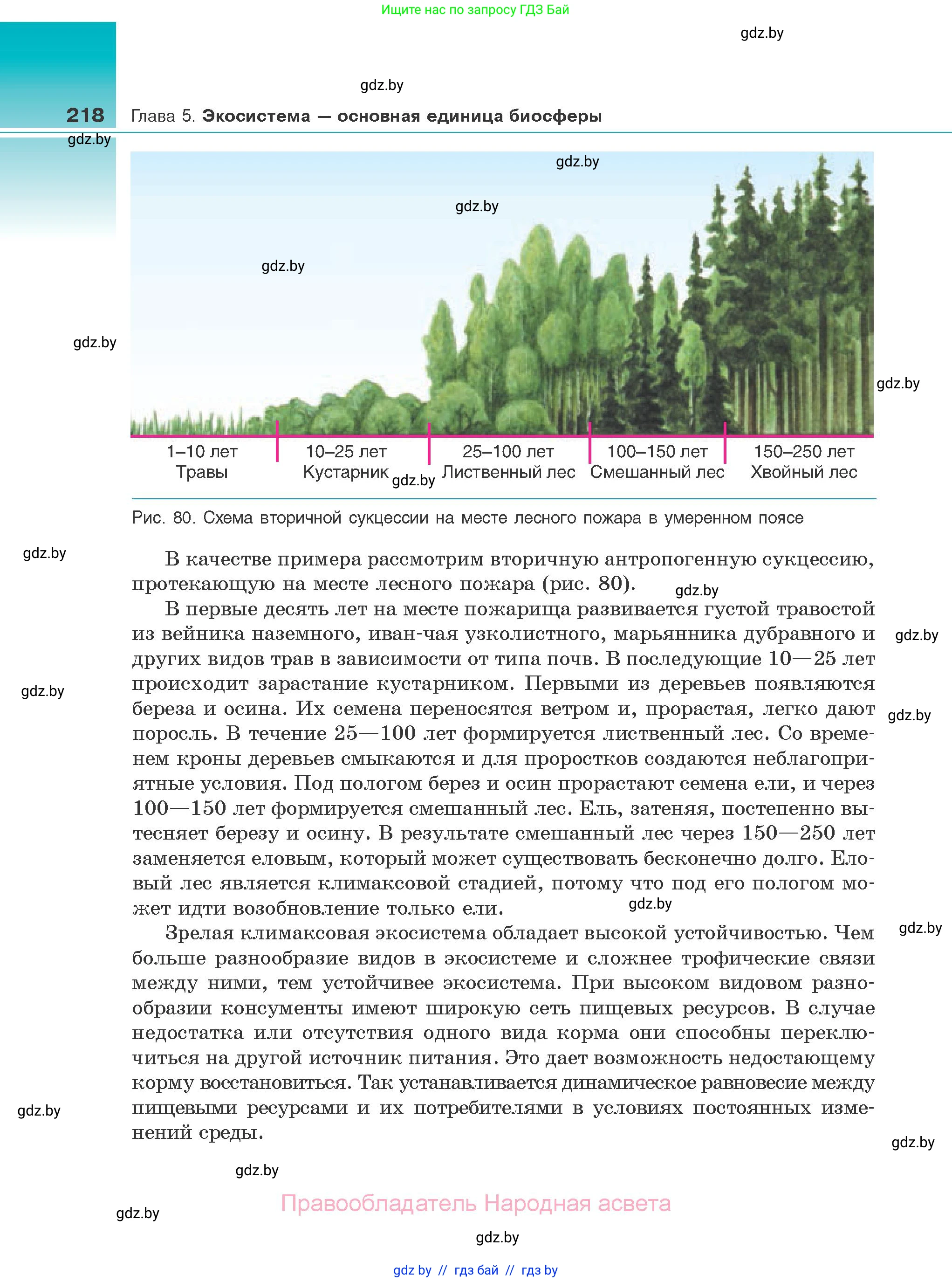 Биология, 10 класс Учебник, авторы: Маглыш Сабина Степановна, Кравченко Вячеслав Анатольевич, Довгун Татьяна Яновна, издательство Народная асвета, Минск, 2020, зелёного цвета, страница 218