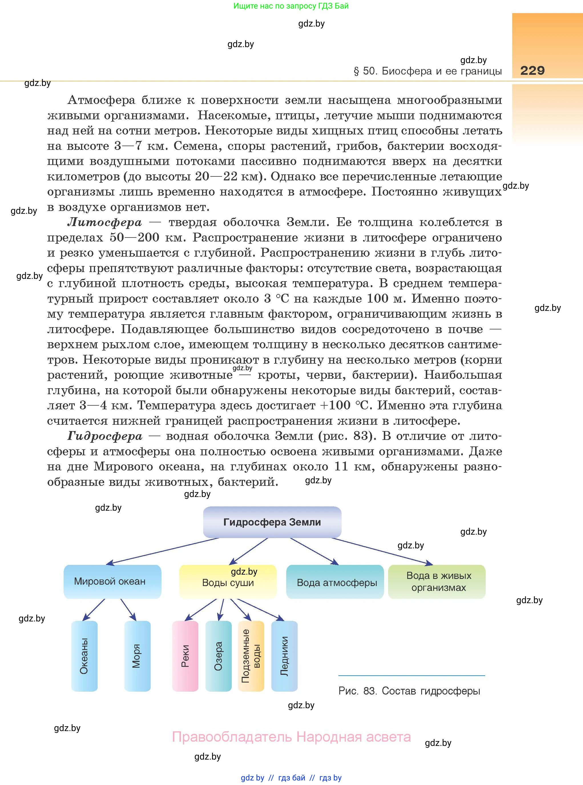 Биология, 10 класс Учебник, авторы: Маглыш Сабина Степановна, Кравченко Вячеслав Анатольевич, Довгун Татьяна Яновна, издательство Народная асвета, Минск, 2020, зелёного цвета, страница 229
