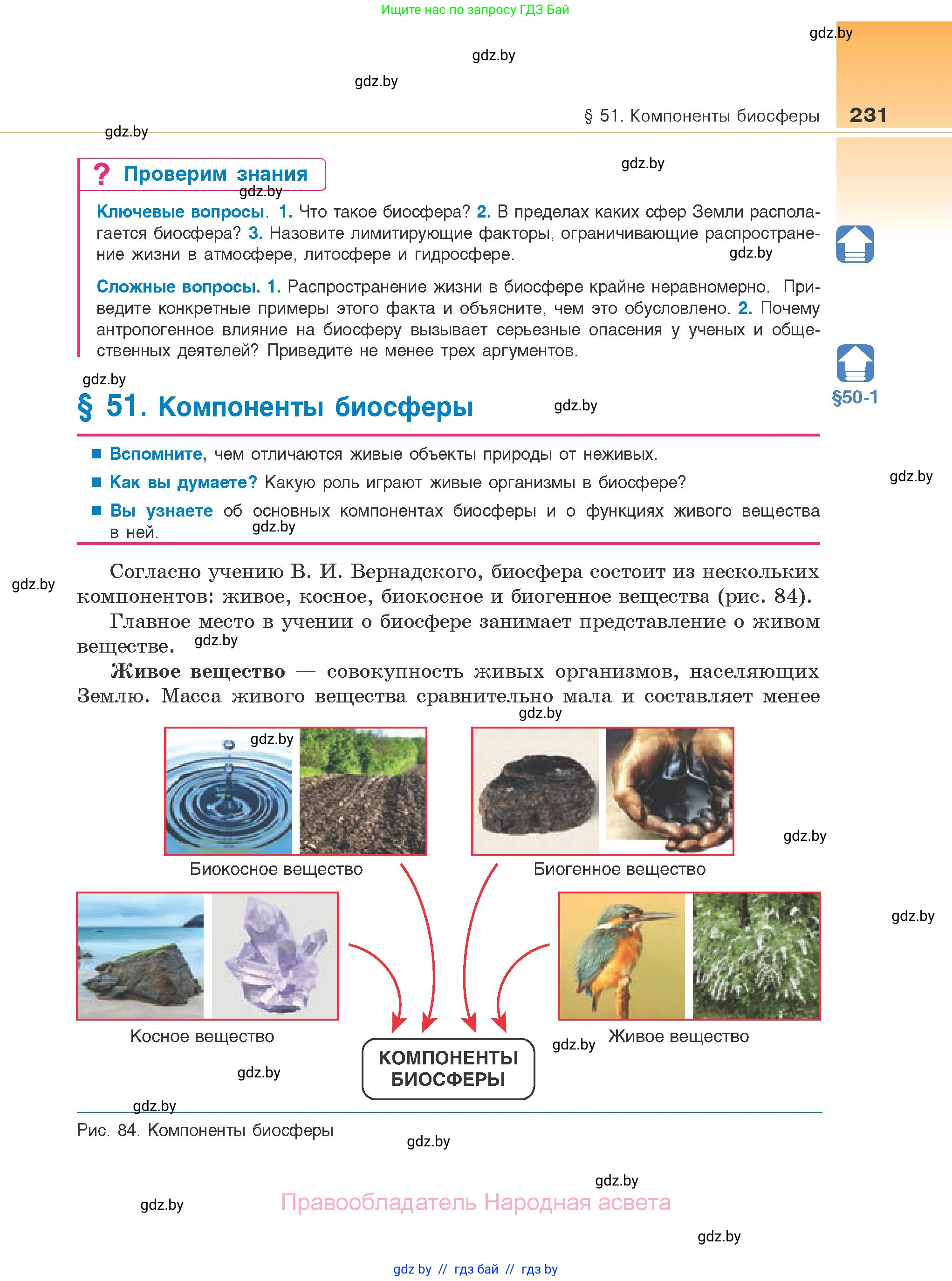 Биология, 10 класс Учебник, авторы: Маглыш Сабина Степановна, Кравченко Вячеслав Анатольевич, Довгун Татьяна Яновна, издательство Народная асвета, Минск, 2020, зелёного цвета, страница 231