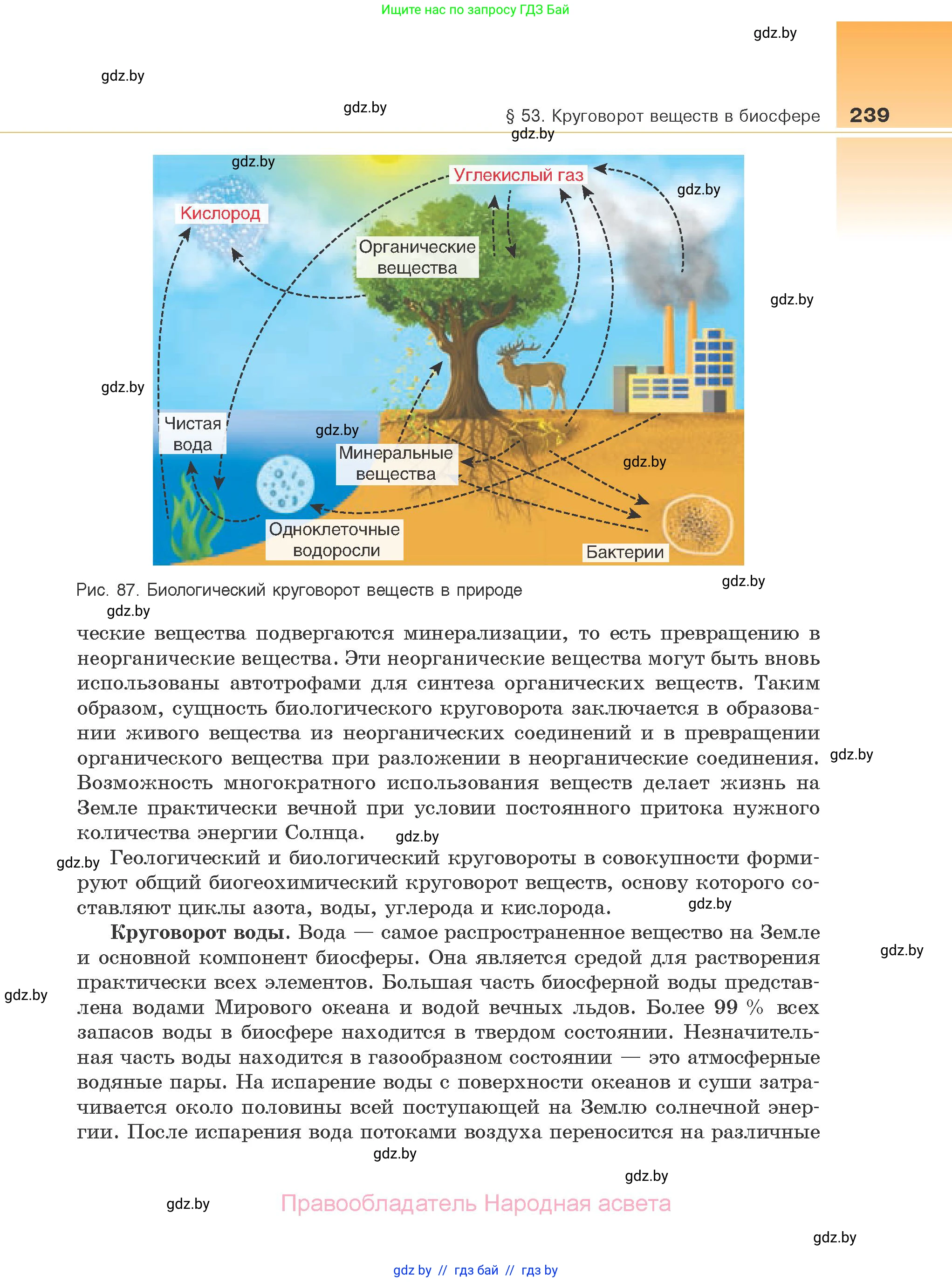 Биология, 10 класс Учебник, авторы: Маглыш Сабина Степановна, Кравченко Вячеслав Анатольевич, Довгун Татьяна Яновна, издательство Народная асвета, Минск, 2020, зелёного цвета, страница 239