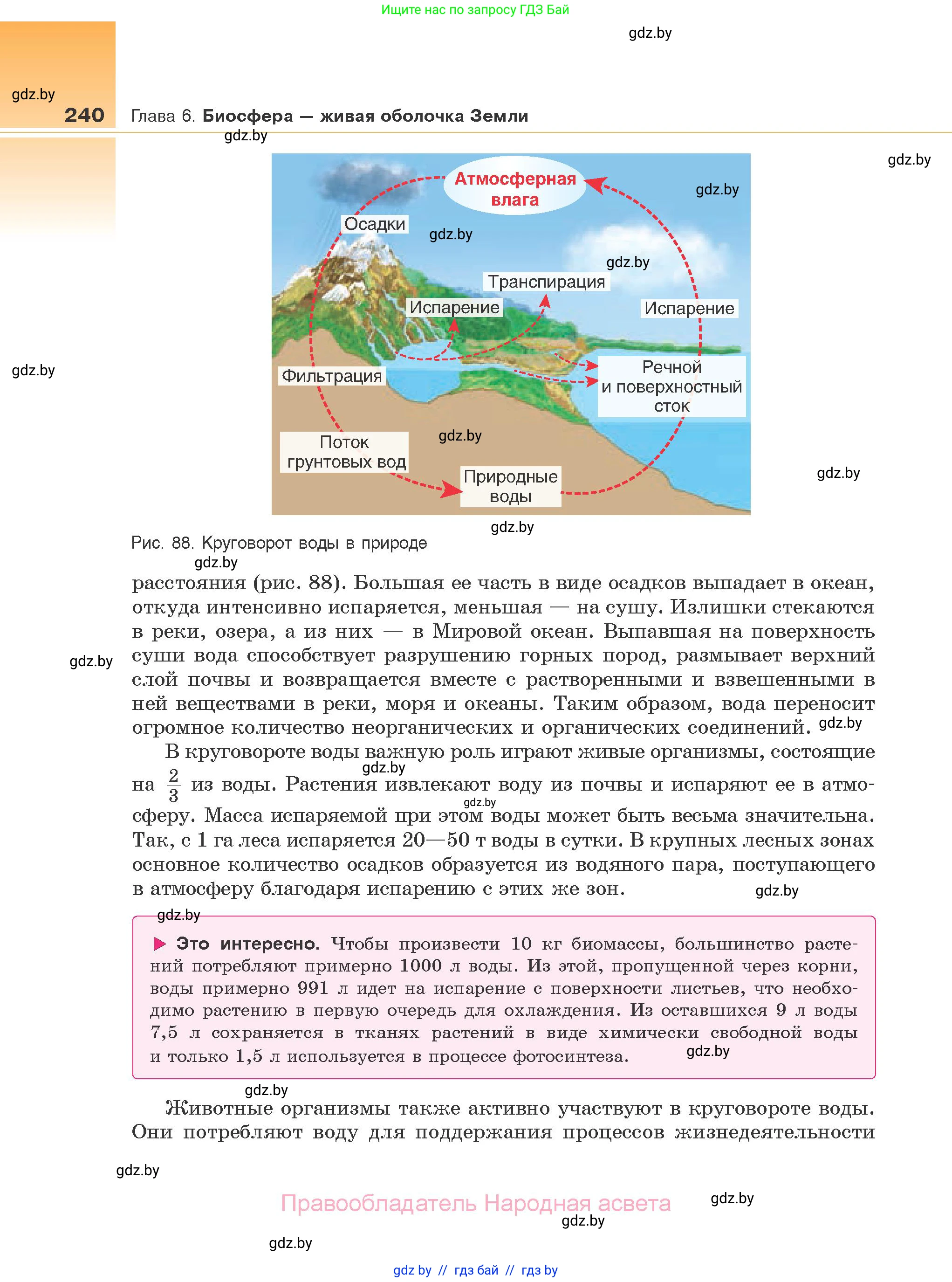 Биология, 10 класс Учебник, авторы: Маглыш Сабина Степановна, Кравченко Вячеслав Анатольевич, Довгун Татьяна Яновна, издательство Народная асвета, Минск, 2020, зелёного цвета, страница 240