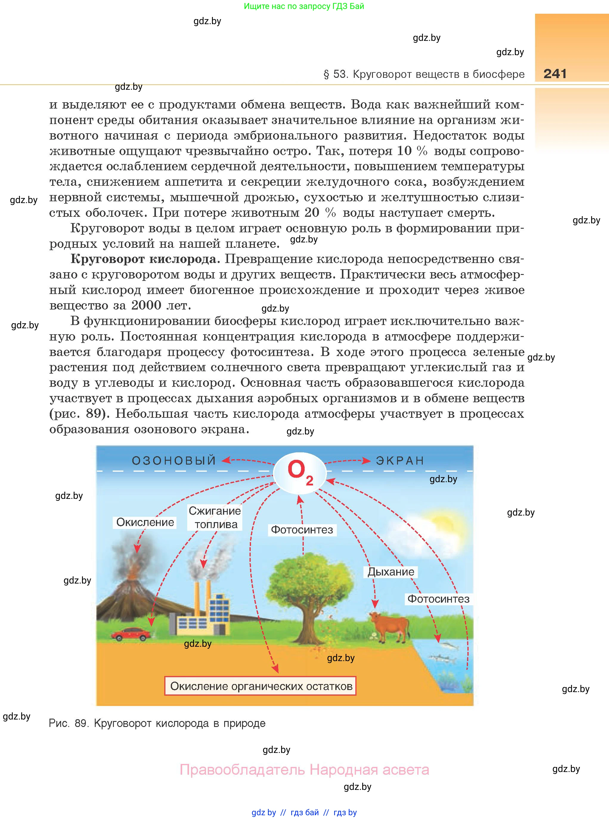 Биология, 10 класс Учебник, авторы: Маглыш Сабина Степановна, Кравченко Вячеслав Анатольевич, Довгун Татьяна Яновна, издательство Народная асвета, Минск, 2020, зелёного цвета, страница 241