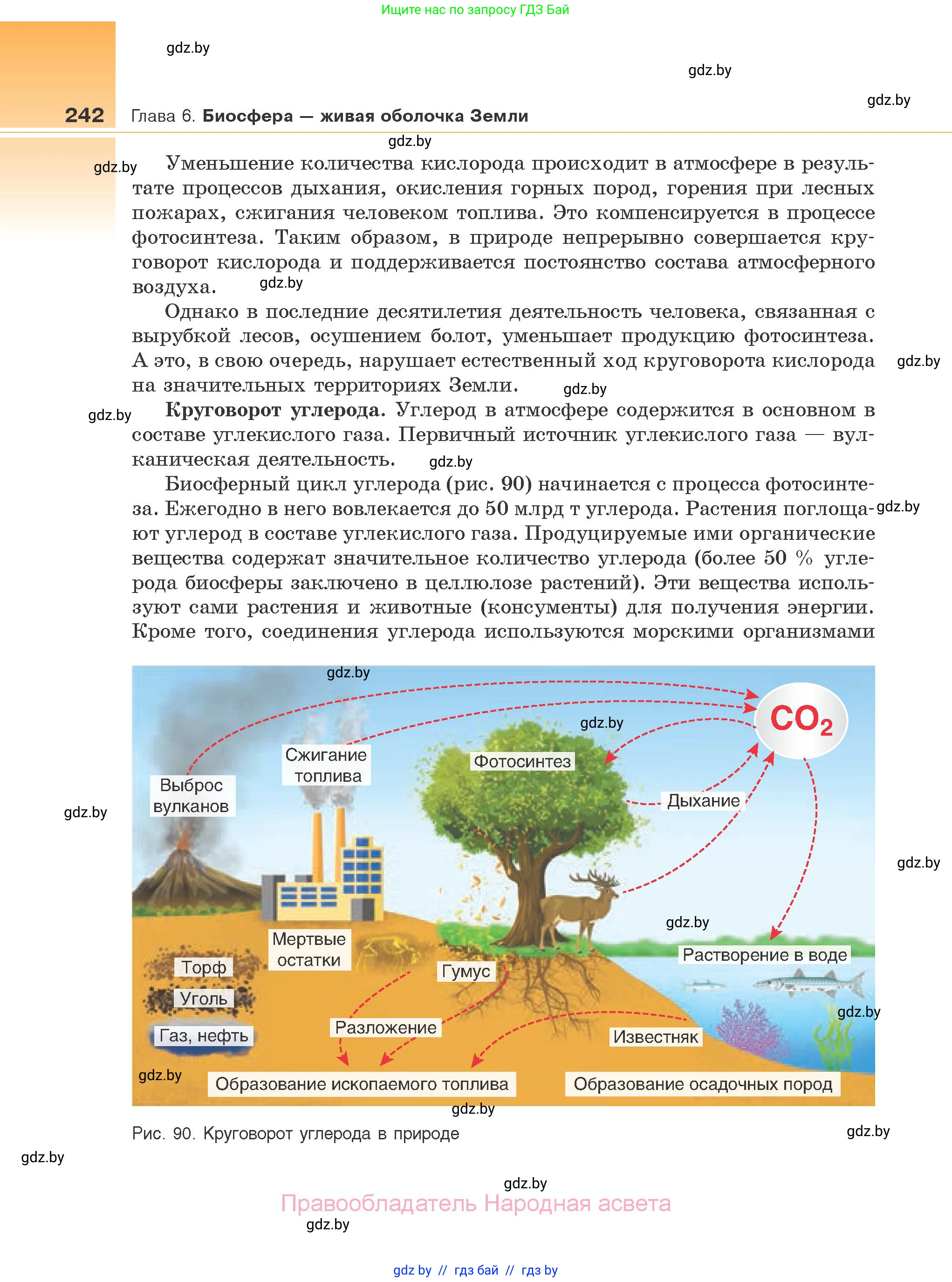 Биология, 10 класс Учебник, авторы: Маглыш Сабина Степановна, Кравченко Вячеслав Анатольевич, Довгун Татьяна Яновна, издательство Народная асвета, Минск, 2020, зелёного цвета, страница 242
