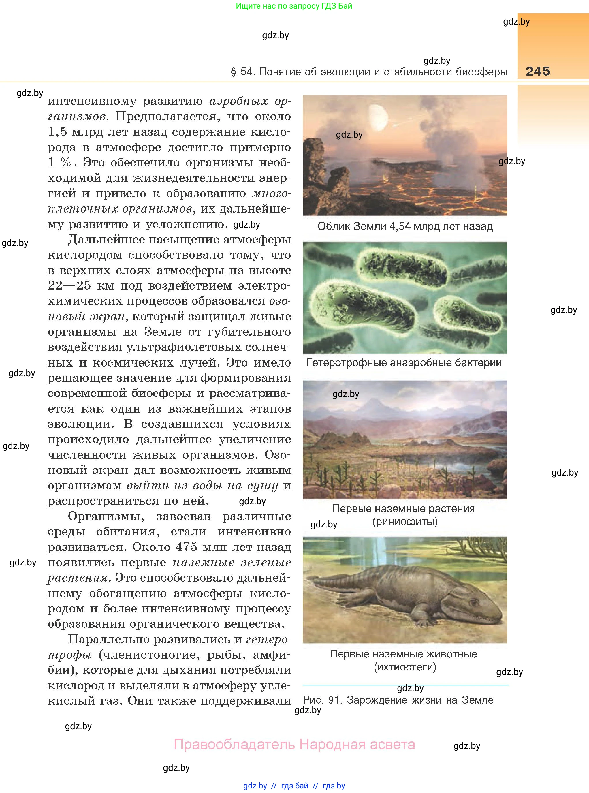 Биология, 10 класс Учебник, авторы: Маглыш Сабина Степановна, Кравченко Вячеслав Анатольевич, Довгун Татьяна Яновна, издательство Народная асвета, Минск, 2020, зелёного цвета, страница 245