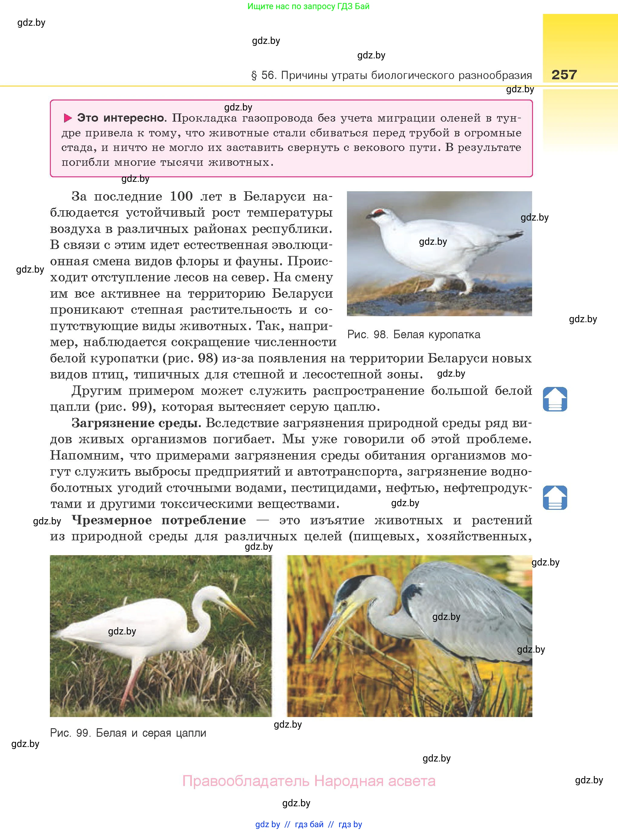 Биология, 10 класс Учебник, авторы: Маглыш Сабина Степановна, Кравченко Вячеслав Анатольевич, Довгун Татьяна Яновна, издательство Народная асвета, Минск, 2020, зелёного цвета, страница 257