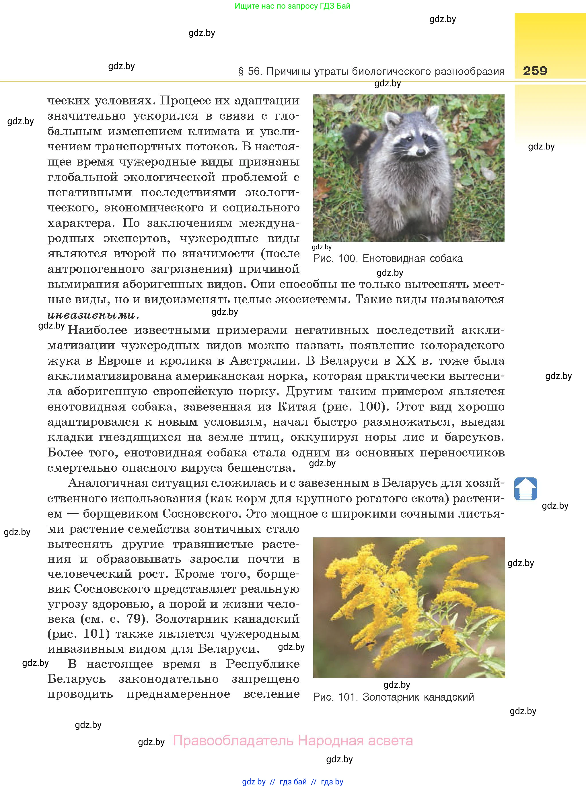Биология, 10 класс Учебник, авторы: Маглыш Сабина Степановна, Кравченко Вячеслав Анатольевич, Довгун Татьяна Яновна, издательство Народная асвета, Минск, 2020, зелёного цвета, страница 259