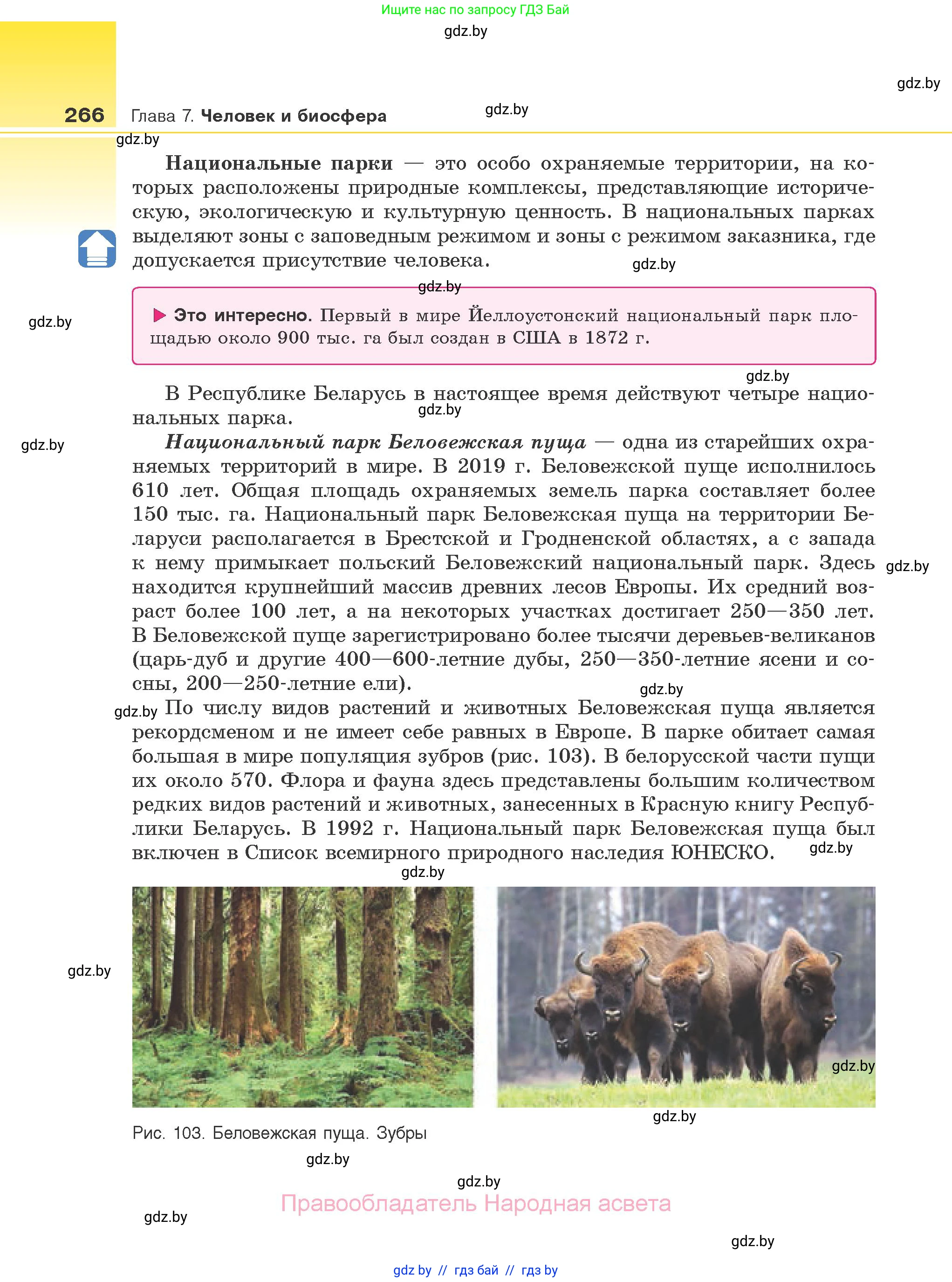Биология, 10 класс Учебник, авторы: Маглыш Сабина Степановна, Кравченко Вячеслав Анатольевич, Довгун Татьяна Яновна, издательство Народная асвета, Минск, 2020, зелёного цвета, страница 266
