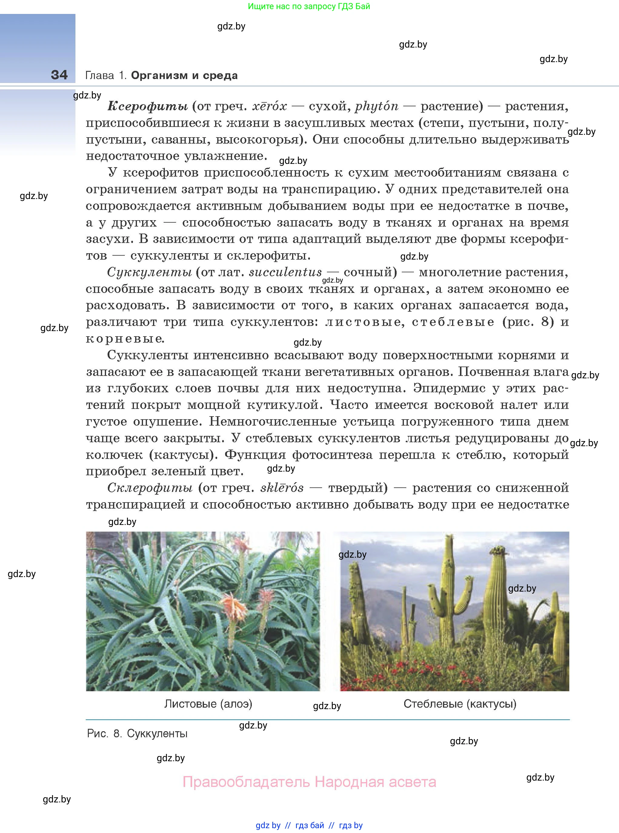 Биология, 10 класс Учебник, авторы: Маглыш Сабина Степановна, Кравченко Вячеслав Анатольевич, Довгун Татьяна Яновна, издательство Народная асвета, Минск, 2020, зелёного цвета, страница 34