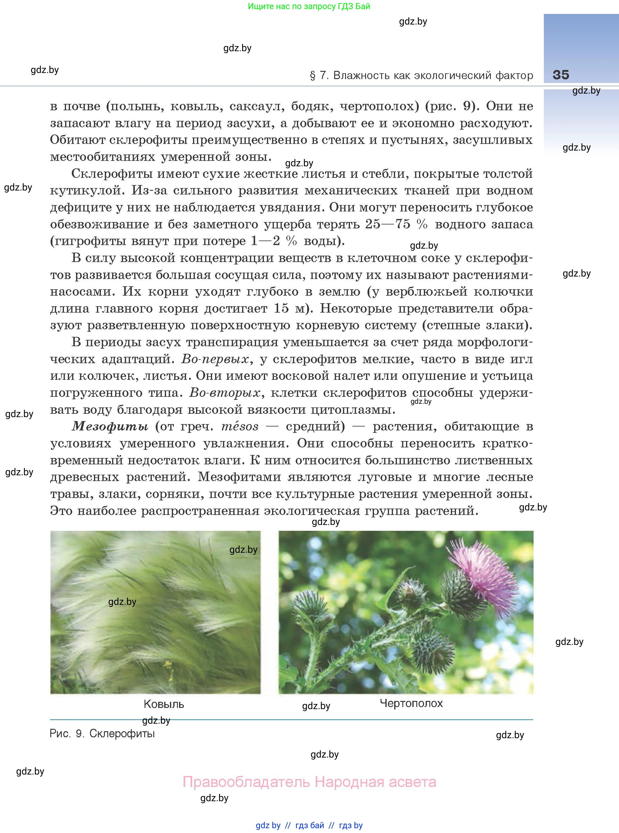 Биология, 10 класс Учебник, авторы: Маглыш Сабина Степановна, Кравченко Вячеслав Анатольевич, Довгун Татьяна Яновна, издательство Народная асвета, Минск, 2020, зелёного цвета, страница 35