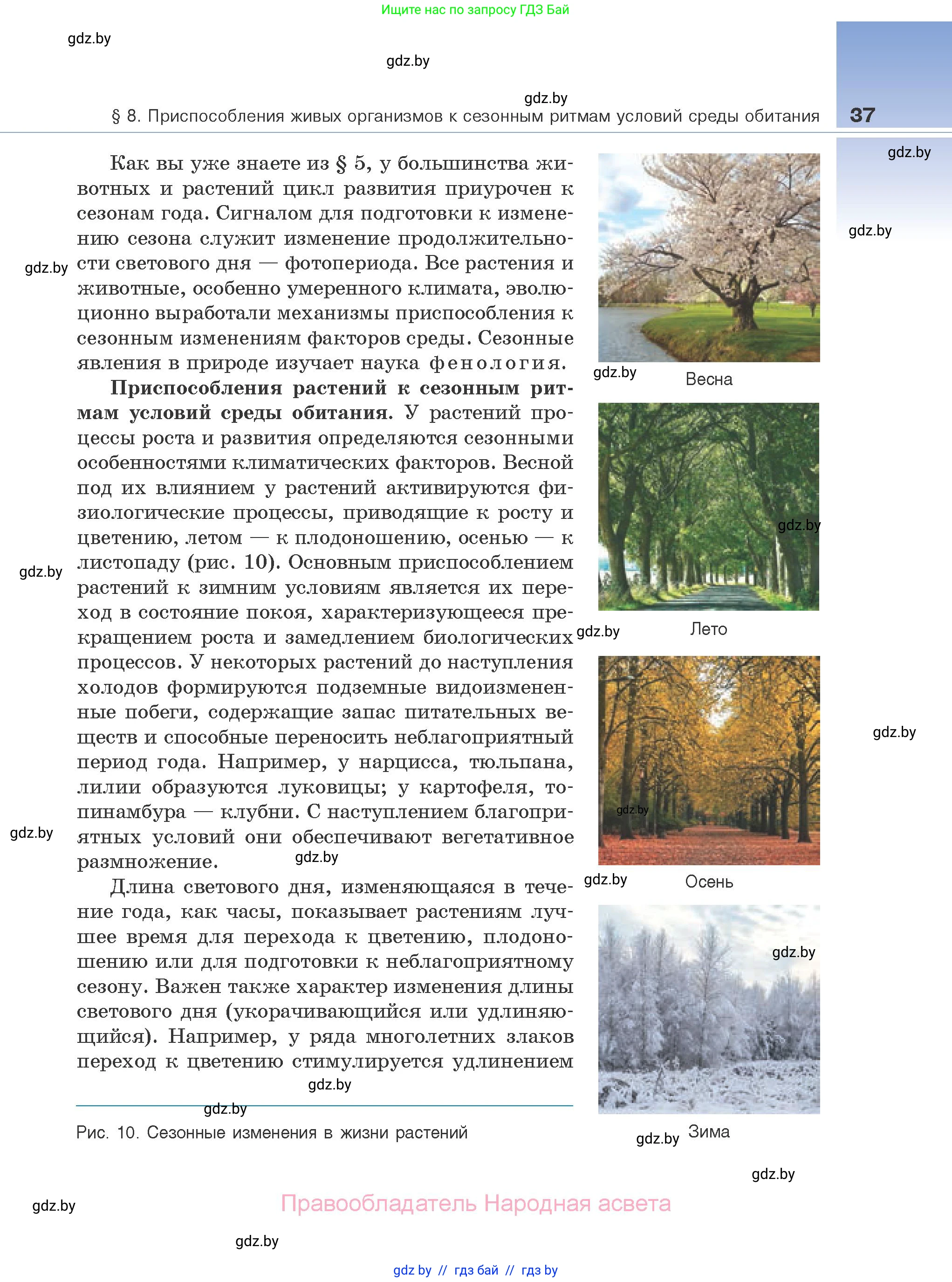 Биология, 10 класс Учебник, авторы: Маглыш Сабина Степановна, Кравченко Вячеслав Анатольевич, Довгун Татьяна Яновна, издательство Народная асвета, Минск, 2020, зелёного цвета, страница 37
