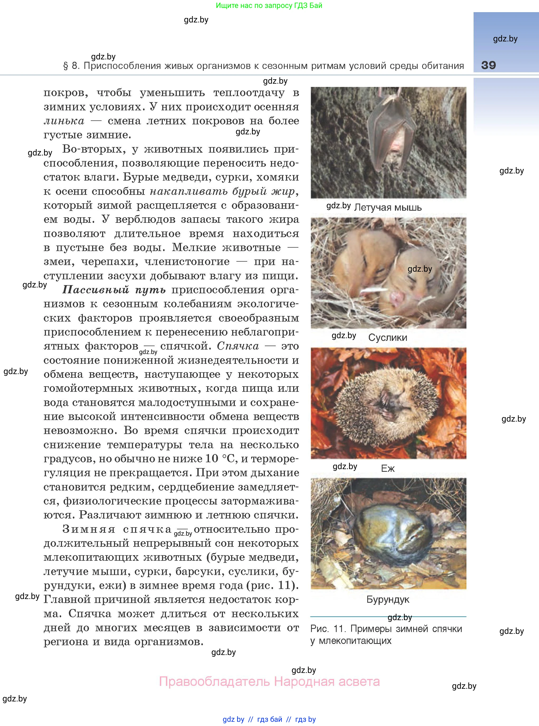 Биология, 10 класс Учебник, авторы: Маглыш Сабина Степановна, Кравченко Вячеслав Анатольевич, Довгун Татьяна Яновна, издательство Народная асвета, Минск, 2020, зелёного цвета, страница 39