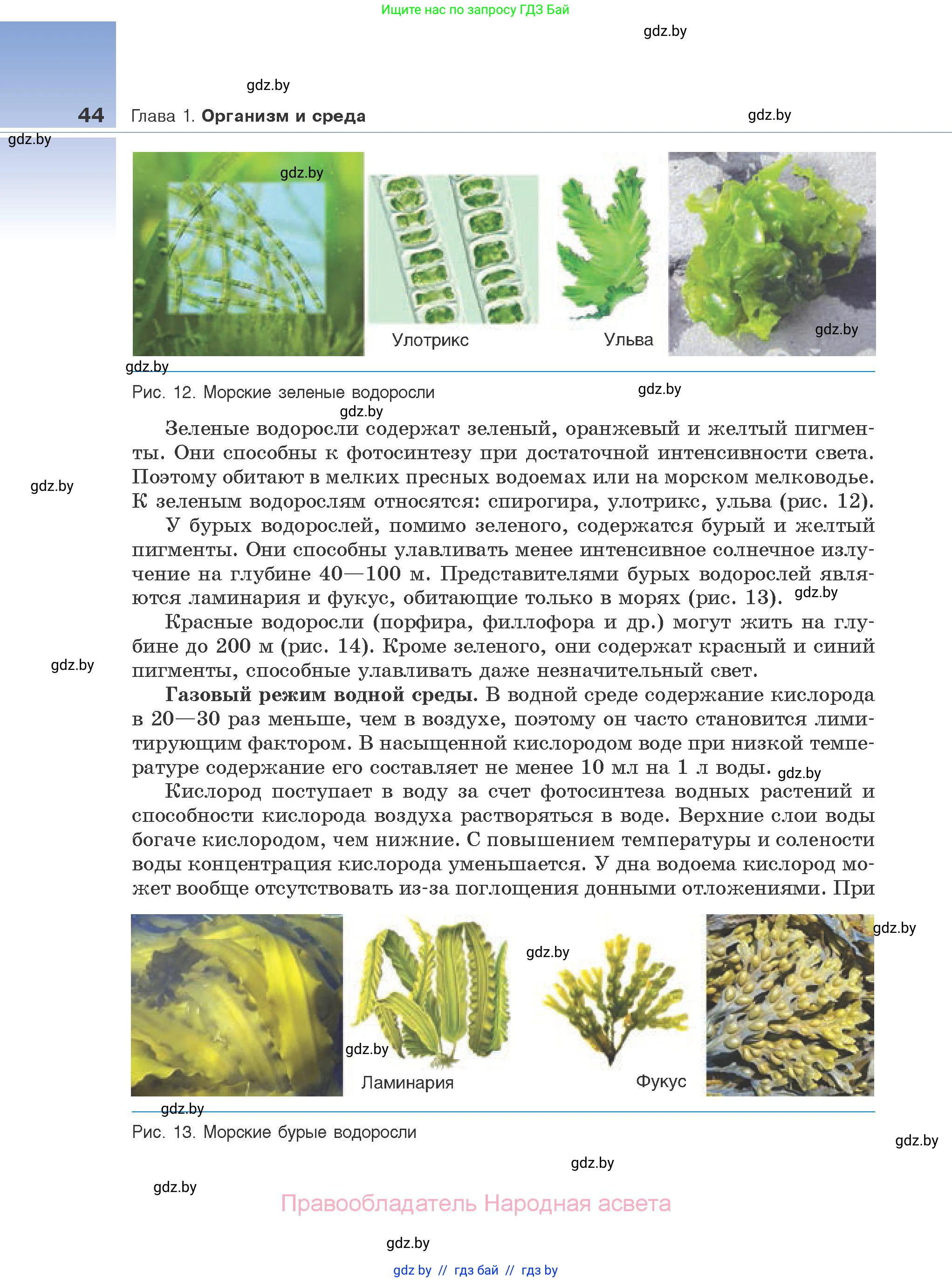 Биология, 10 класс Учебник, авторы: Маглыш Сабина Степановна, Кравченко Вячеслав Анатольевич, Довгун Татьяна Яновна, издательство Народная асвета, Минск, 2020, зелёного цвета, страница 44