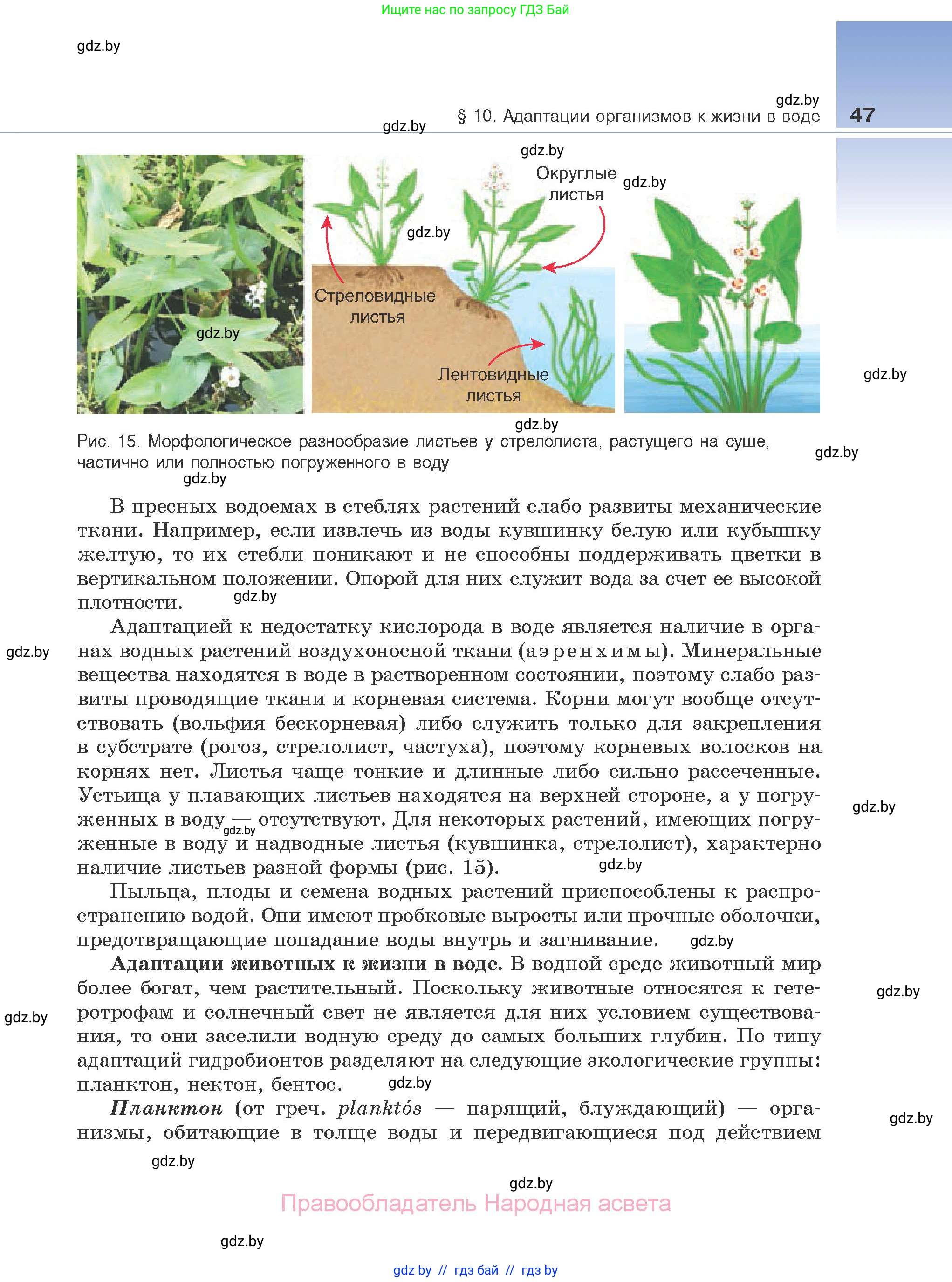 Биология, 10 класс Учебник, авторы: Маглыш Сабина Степановна, Кравченко Вячеслав Анатольевич, Довгун Татьяна Яновна, издательство Народная асвета, Минск, 2020, зелёного цвета, страница 47