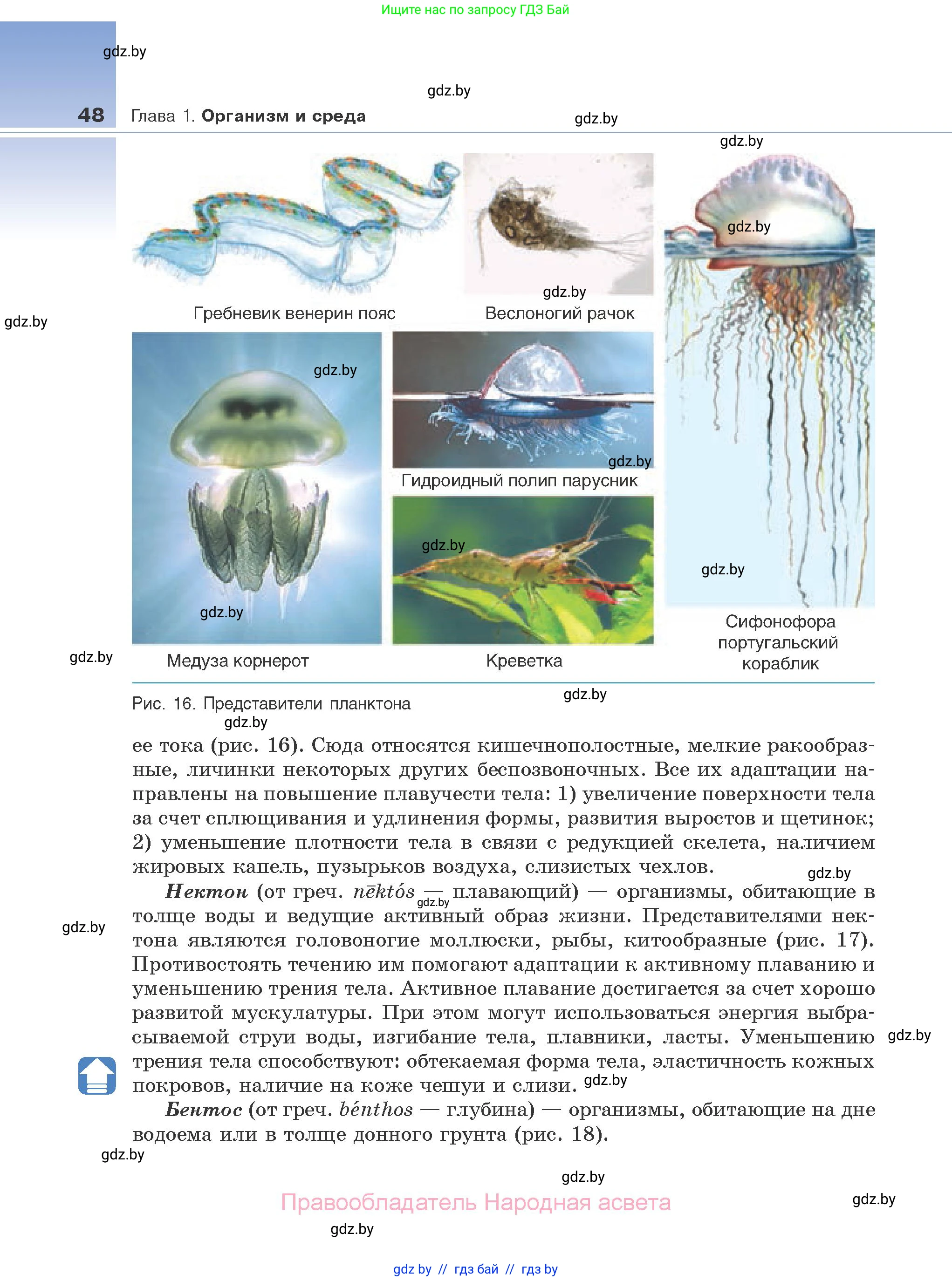 Биология, 10 класс Учебник, авторы: Маглыш Сабина Степановна, Кравченко Вячеслав Анатольевич, Довгун Татьяна Яновна, издательство Народная асвета, Минск, 2020, зелёного цвета, страница 48