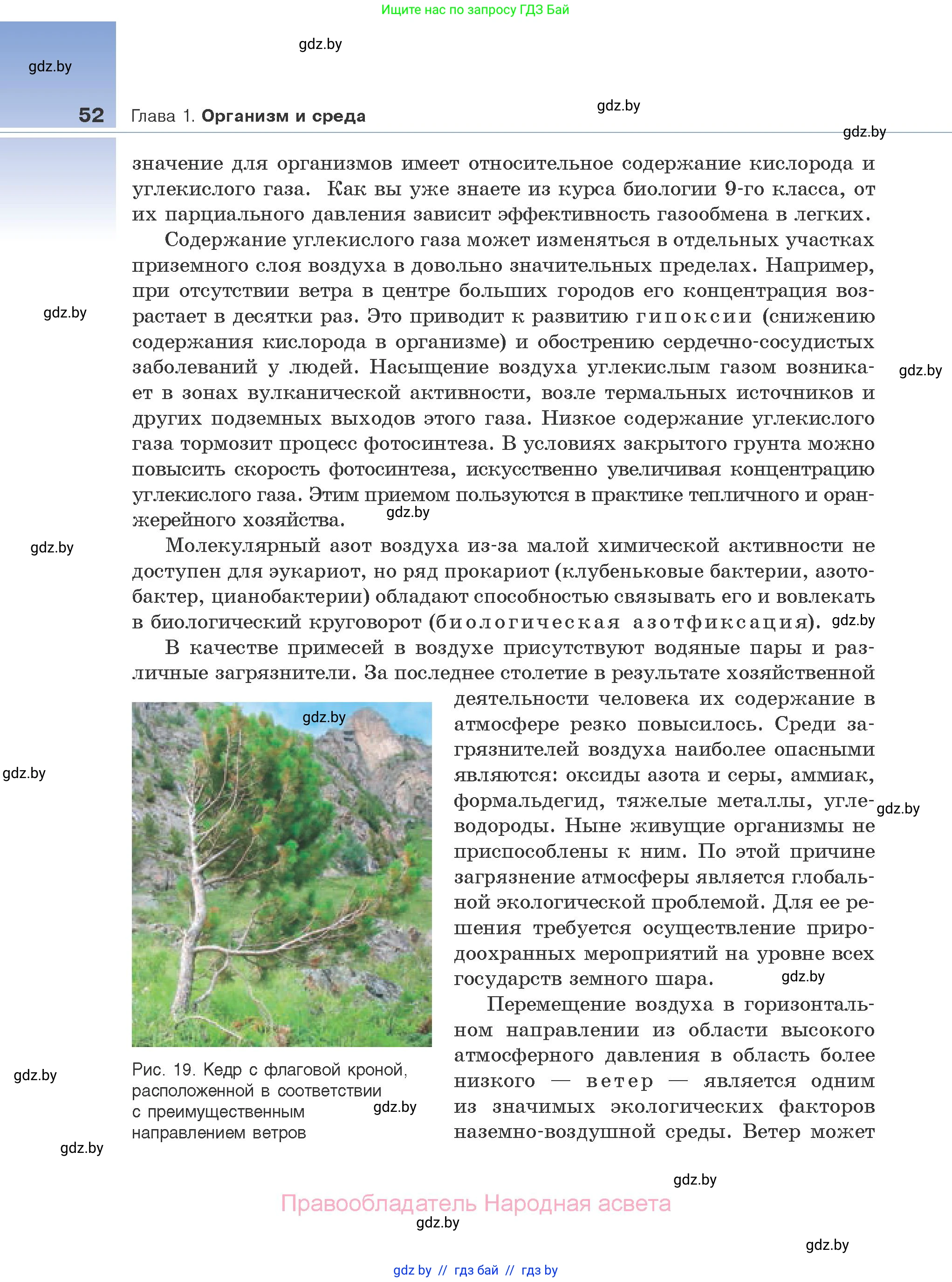 Биология, 10 класс Учебник, авторы: Маглыш Сабина Степановна, Кравченко Вячеслав Анатольевич, Довгун Татьяна Яновна, издательство Народная асвета, Минск, 2020, зелёного цвета, страница 52