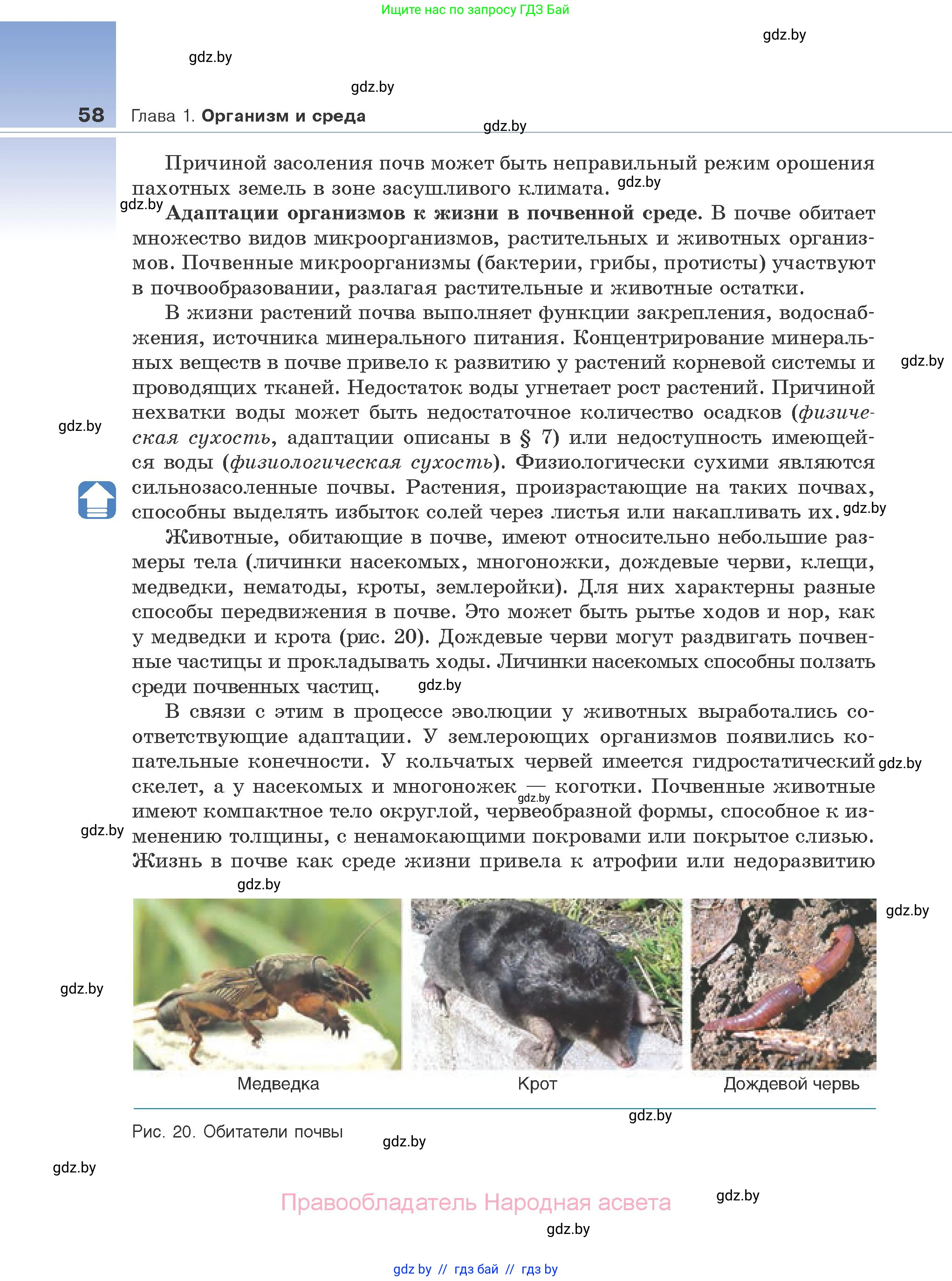 Биология, 10 класс Учебник, авторы: Маглыш Сабина Степановна, Кравченко Вячеслав Анатольевич, Довгун Татьяна Яновна, издательство Народная асвета, Минск, 2020, зелёного цвета, страница 58
