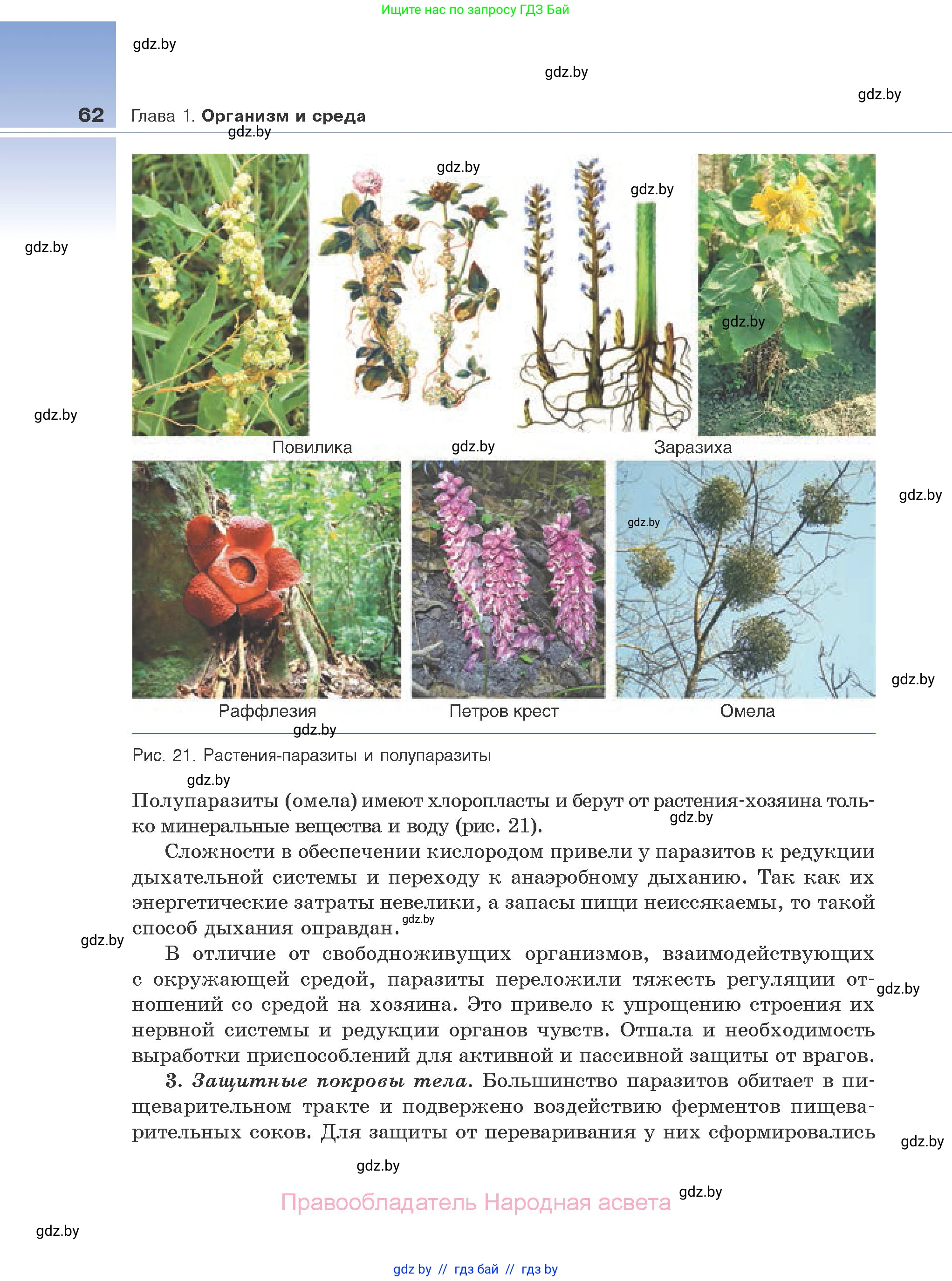 Биология, 10 класс Учебник, авторы: Маглыш Сабина Степановна, Кравченко Вячеслав Анатольевич, Довгун Татьяна Яновна, издательство Народная асвета, Минск, 2020, зелёного цвета, страница 62