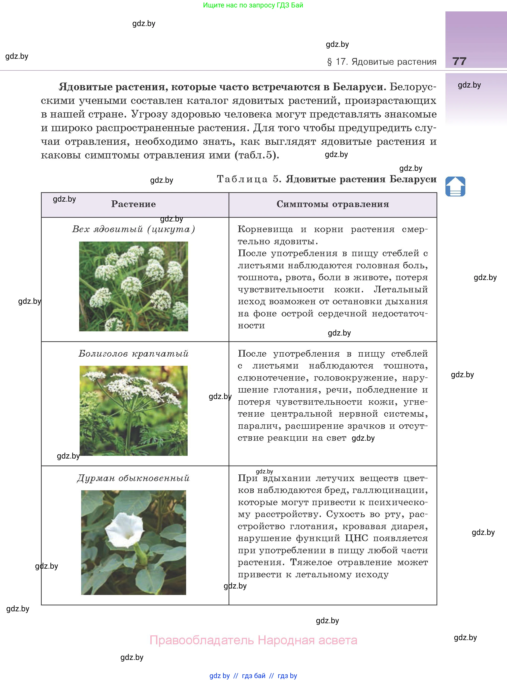 Биология, 10 класс Учебник, авторы: Маглыш Сабина Степановна, Кравченко Вячеслав Анатольевич, Довгун Татьяна Яновна, издательство Народная асвета, Минск, 2020, зелёного цвета, страница 77