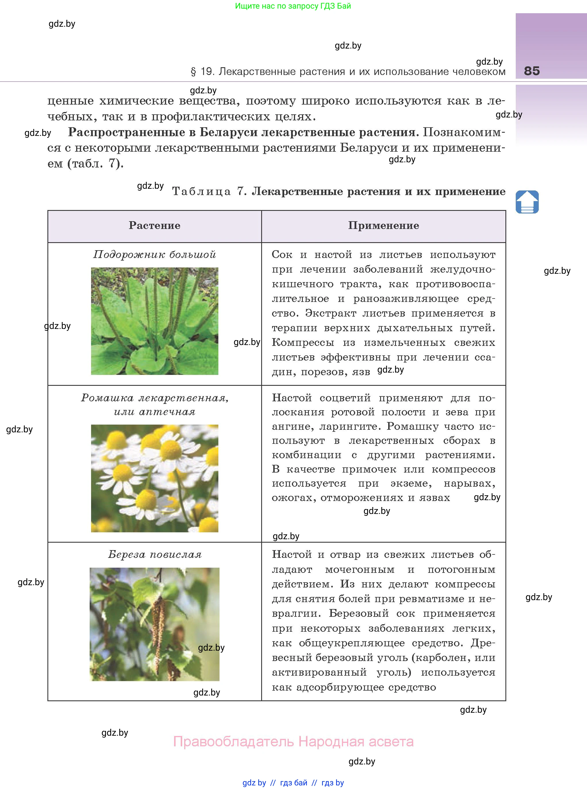 Биология, 10 класс Учебник, авторы: Маглыш Сабина Степановна, Кравченко Вячеслав Анатольевич, Довгун Татьяна Яновна, издательство Народная асвета, Минск, 2020, зелёного цвета, страница 85