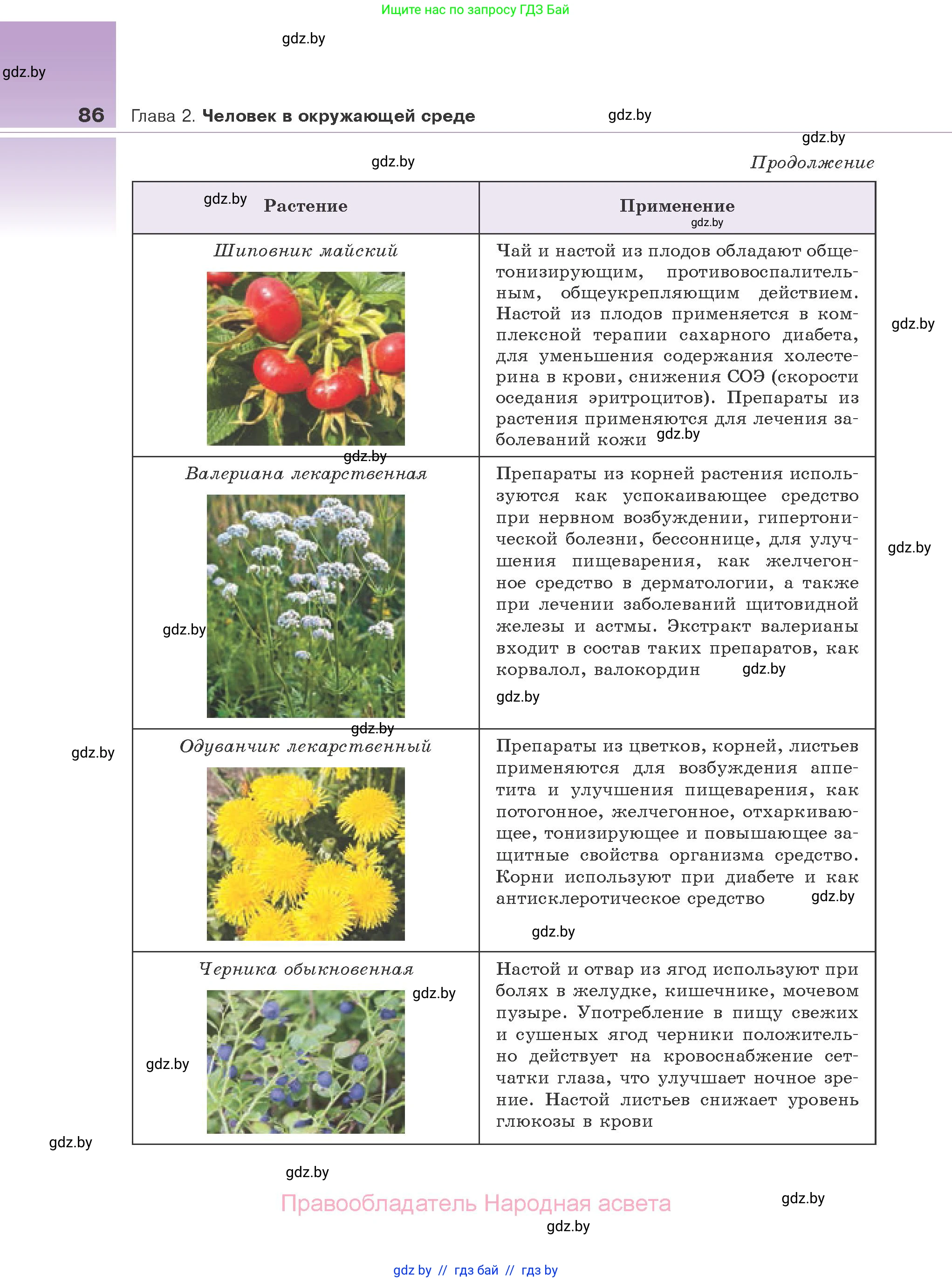 Биология, 10 класс Учебник, авторы: Маглыш Сабина Степановна, Кравченко Вячеслав Анатольевич, Довгун Татьяна Яновна, издательство Народная асвета, Минск, 2020, зелёного цвета, страница 86