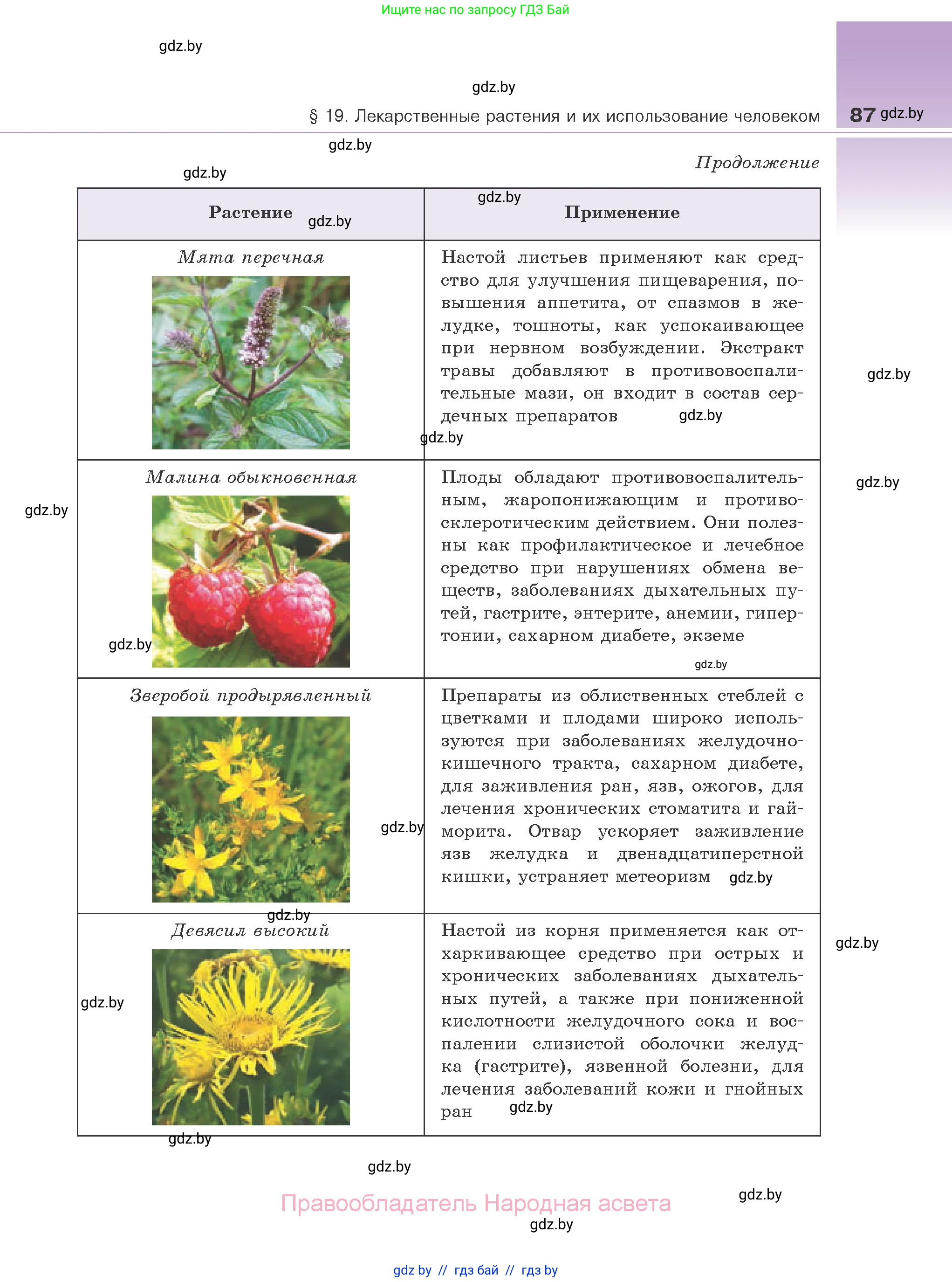 Биология, 10 класс Учебник, авторы: Маглыш Сабина Степановна, Кравченко Вячеслав Анатольевич, Довгун Татьяна Яновна, издательство Народная асвета, Минск, 2020, зелёного цвета, страница 87