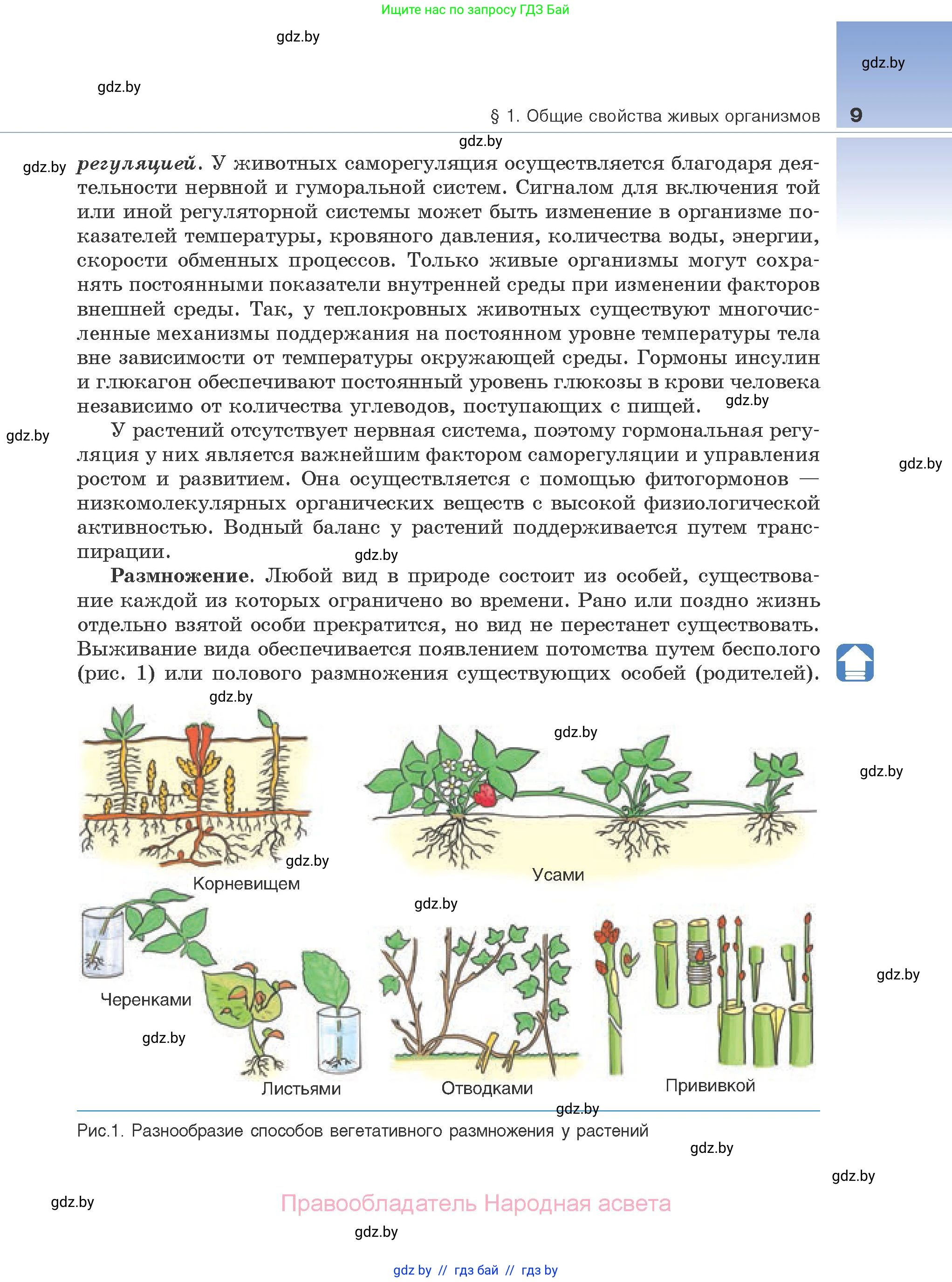 Биология, 10 класс Учебник, авторы: Маглыш Сабина Степановна, Кравченко Вячеслав Анатольевич, Довгун Татьяна Яновна, издательство Народная асвета, Минск, 2020, зелёного цвета, страница 9