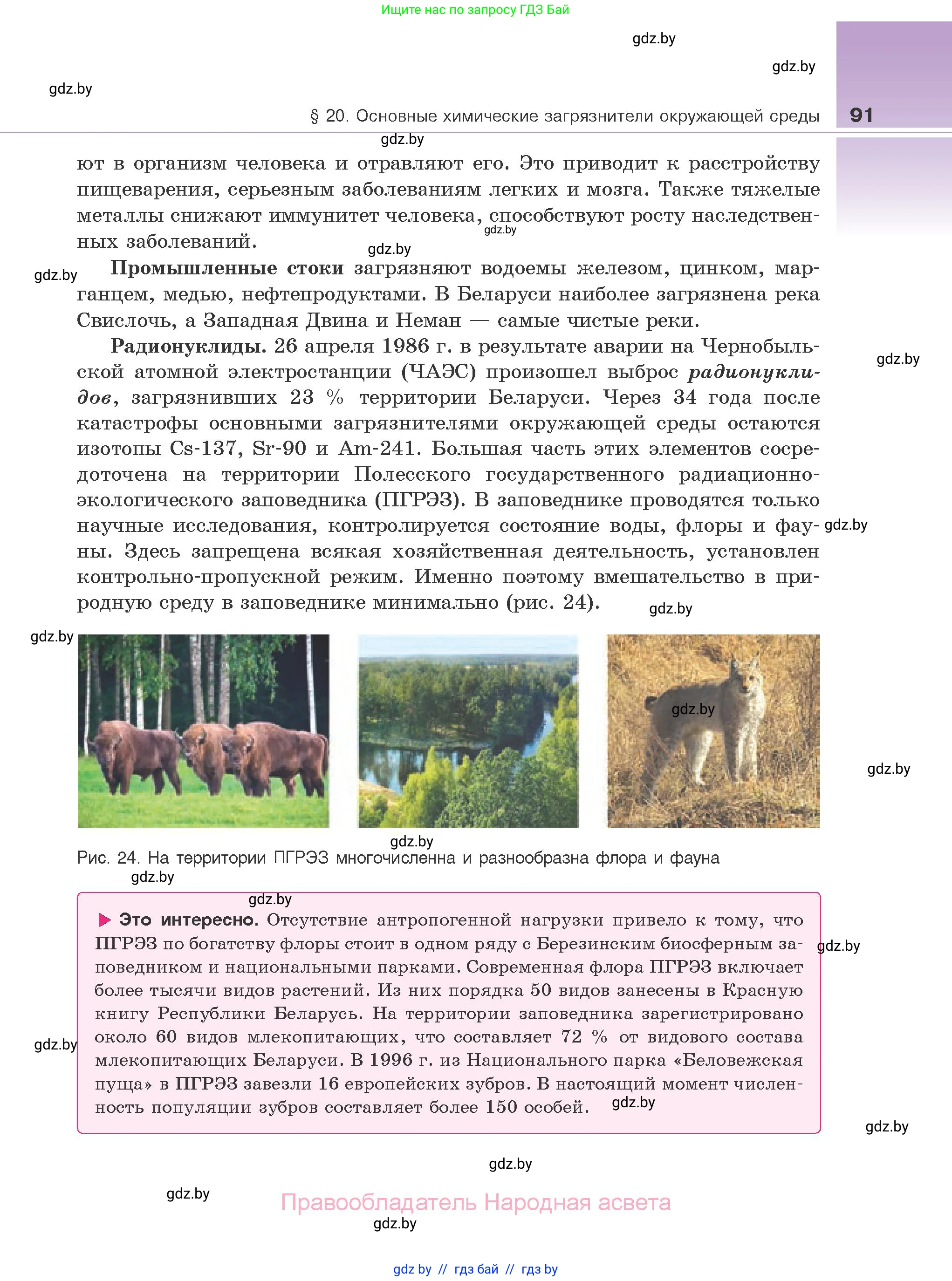 Биология, 10 класс Учебник, авторы: Маглыш Сабина Степановна, Кравченко Вячеслав Анатольевич, Довгун Татьяна Яновна, издательство Народная асвета, Минск, 2020, зелёного цвета, страница 91
