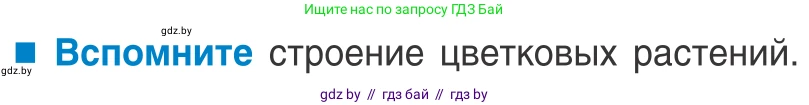 Биология, 10 класс Учебник, авторы: Маглыш Сабина Степановна, Кравченко Вячеслав Анатольевич, Довгун Татьяна Яновна, издательство Народная асвета, Минск, 2020, зелёного цвета, страница 76, Условие
