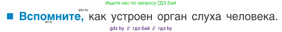 Биология, 10 класс Учебник, авторы: Маглыш Сабина Степановна, Кравченко Вячеслав Анатольевич, Довгун Татьяна Яновна, издательство Народная асвета, Минск, 2020, зелёного цвета, страница 97, Условие