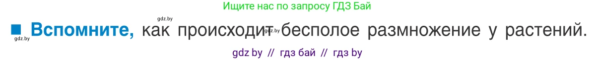 Биология, 10 класс Учебник, авторы: Маглыш Сабина Степановна, Кравченко Вячеслав Анатольевич, Довгун Татьяна Яновна, издательство Народная асвета, Минск, 2020, зелёного цвета, страница 139, Условие