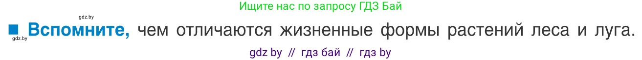 Биология, 10 класс Учебник, авторы: Маглыш Сабина Степановна, Кравченко Вячеслав Анатольевич, Довгун Татьяна Яновна, издательство Народная асвета, Минск, 2020, зелёного цвета, страница 194, Условие