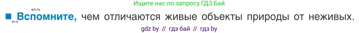Биология, 10 класс Учебник, авторы: Маглыш Сабина Степановна, Кравченко Вячеслав Анатольевич, Довгун Татьяна Яновна, издательство Народная асвета, Минск, 2020, зелёного цвета, страница 231, Условие