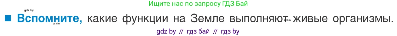 Биология, 10 класс Учебник, авторы: Маглыш Сабина Степановна, Кравченко Вячеслав Анатольевич, Довгун Татьяна Яновна, издательство Народная асвета, Минск, 2020, зелёного цвета, страница 234, Условие