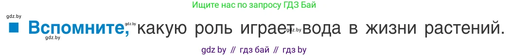 Биология, 10 класс Учебник, авторы: Маглыш Сабина Степановна, Кравченко Вячеслав Анатольевич, Довгун Татьяна Яновна, издательство Народная асвета, Минск, 2020, зелёного цвета, страница 32, Условие