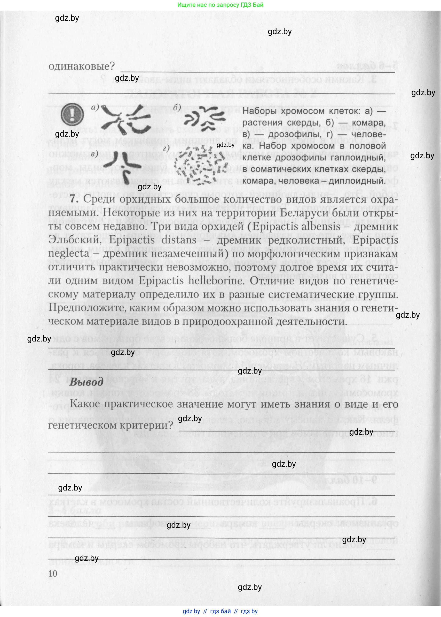 Биология, 10 класс тетрадь для лабораторных, практических работ и экскурсий, автор: Новик Ирина Михайловна, издательство Сэр-Вит, Минск, 2020, салатового цвета, страница 10