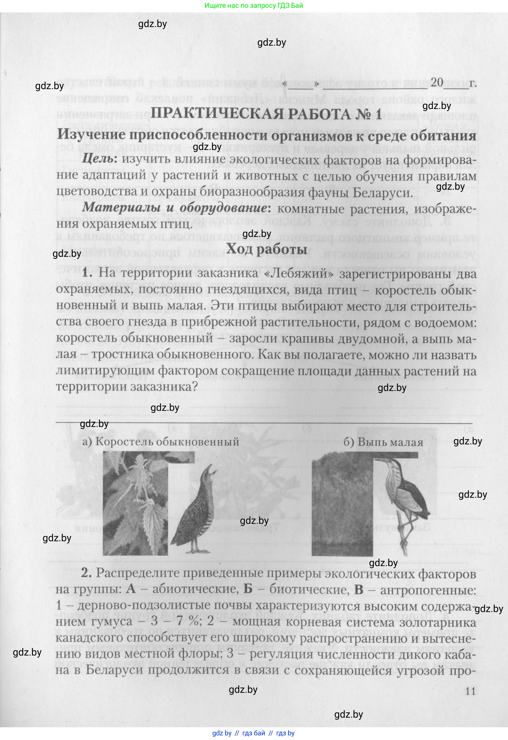 Биология, 10 класс тетрадь для лабораторных, практических работ и экскурсий, автор: Новик Ирина Михайловна, издательство Сэр-Вит, Минск, 2020, салатового цвета, страница 11