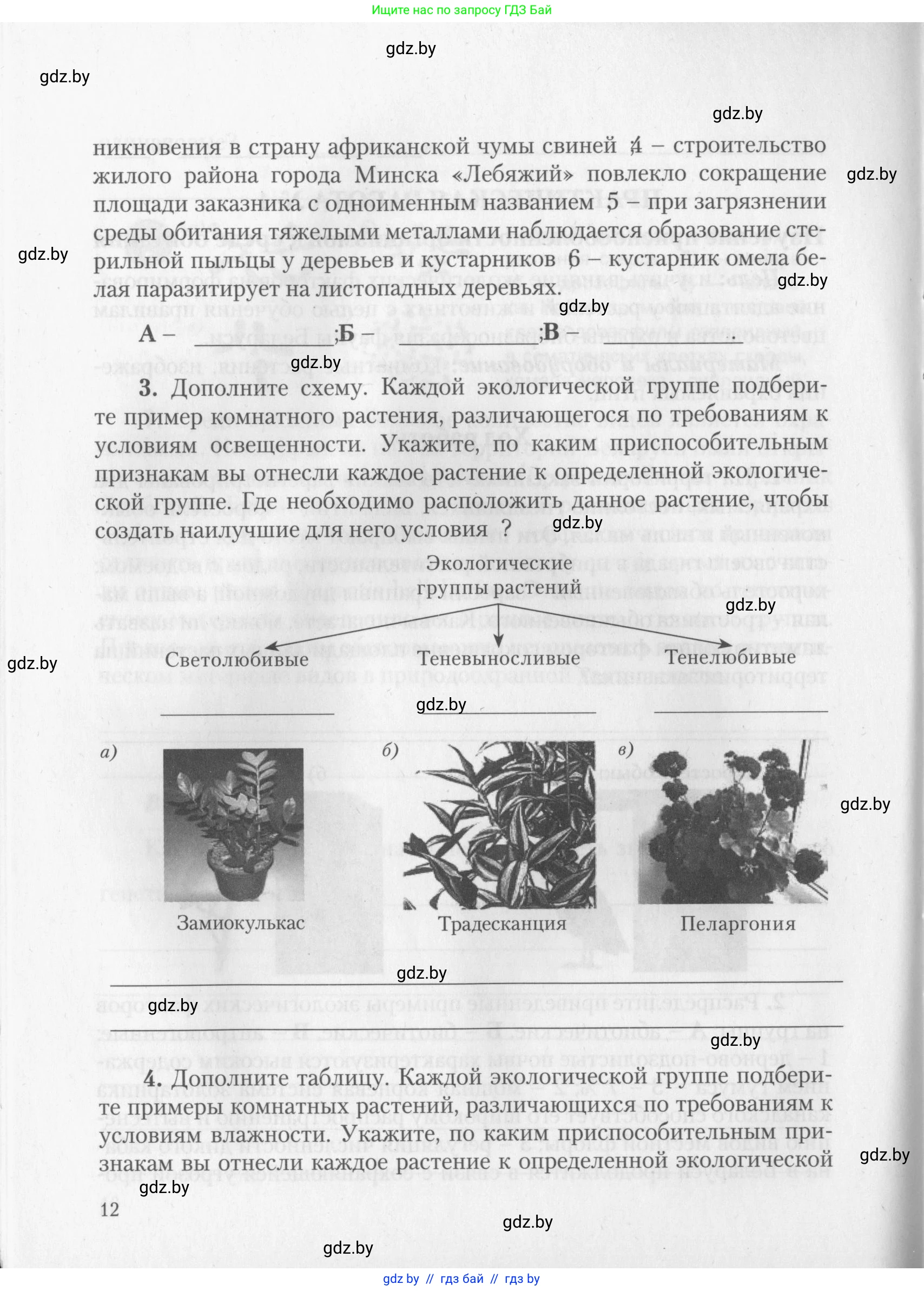 Биология, 10 класс тетрадь для лабораторных, практических работ и экскурсий, автор: Новик Ирина Михайловна, издательство Сэр-Вит, Минск, 2020, салатового цвета, страница 12