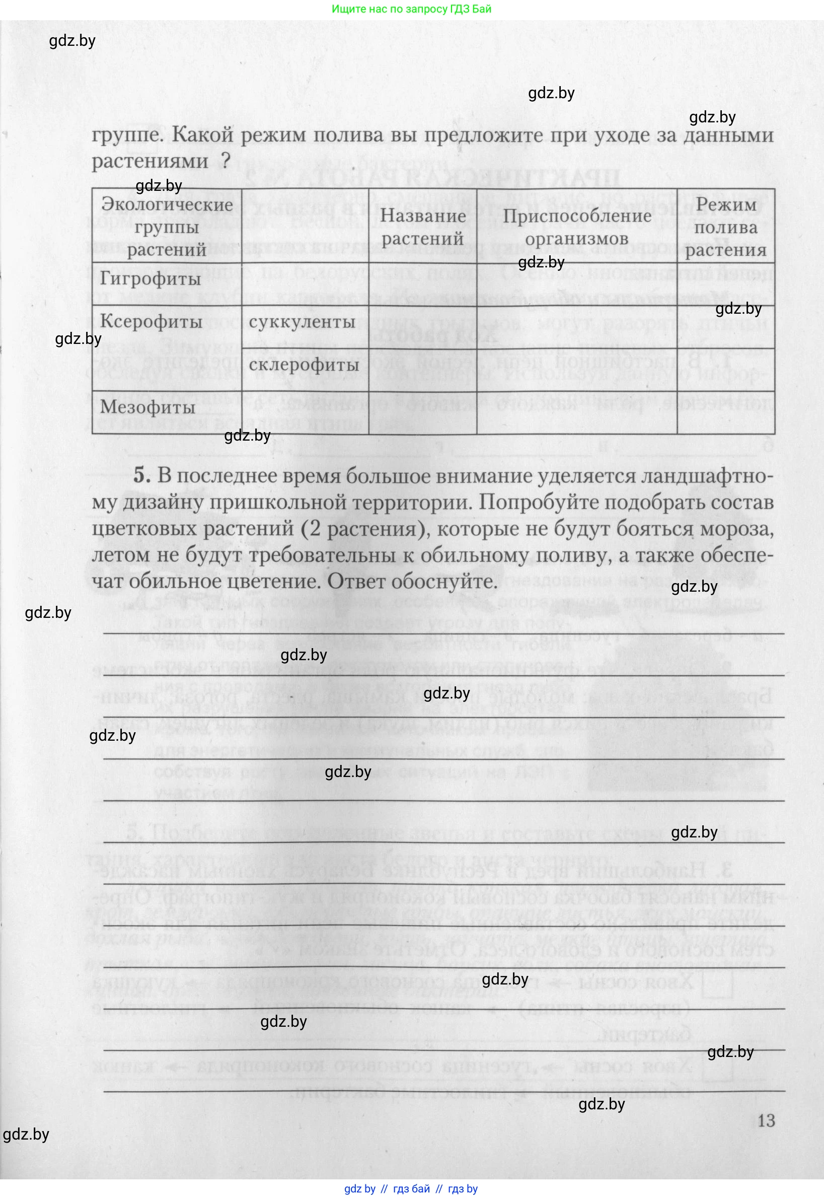Биология, 10 класс тетрадь для лабораторных, практических работ и экскурсий, автор: Новик Ирина Михайловна, издательство Сэр-Вит, Минск, 2020, салатового цвета, страница 13