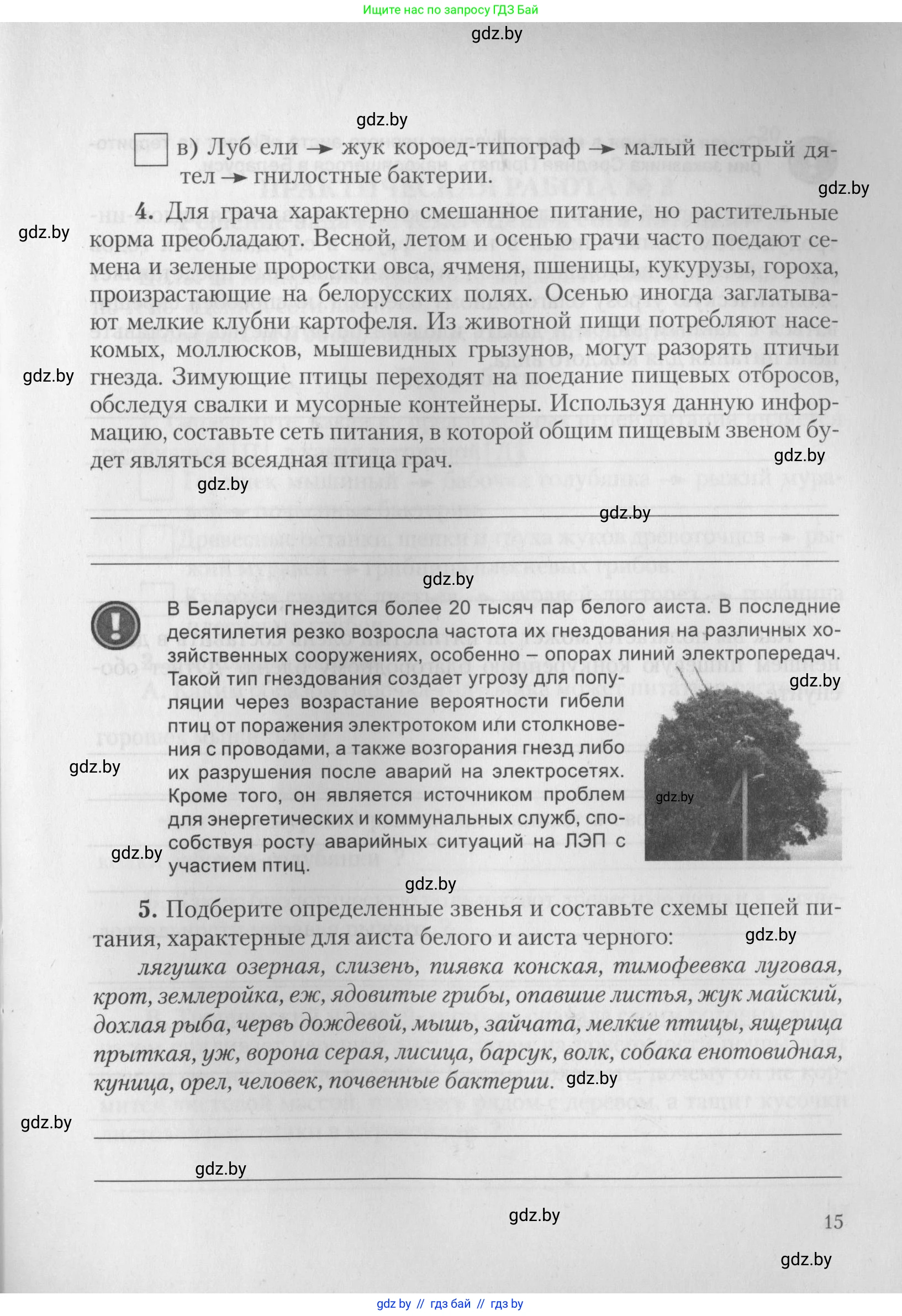 Биология, 10 класс тетрадь для лабораторных, практических работ и экскурсий, автор: Новик Ирина Михайловна, издательство Сэр-Вит, Минск, 2020, салатового цвета, страница 15