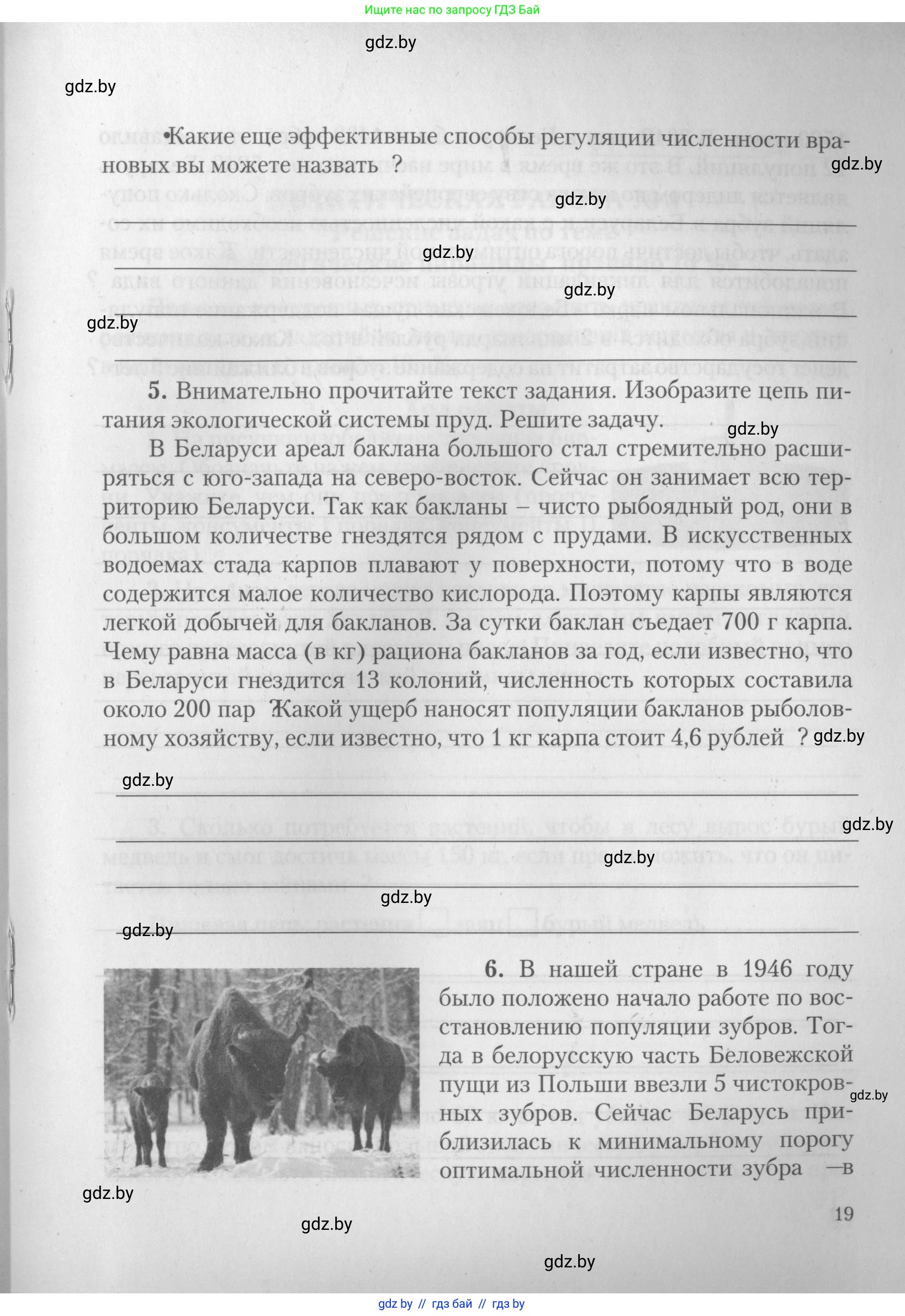 Биология, 10 класс тетрадь для лабораторных, практических работ и экскурсий, автор: Новик Ирина Михайловна, издательство Сэр-Вит, Минск, 2020, салатового цвета, страница 19